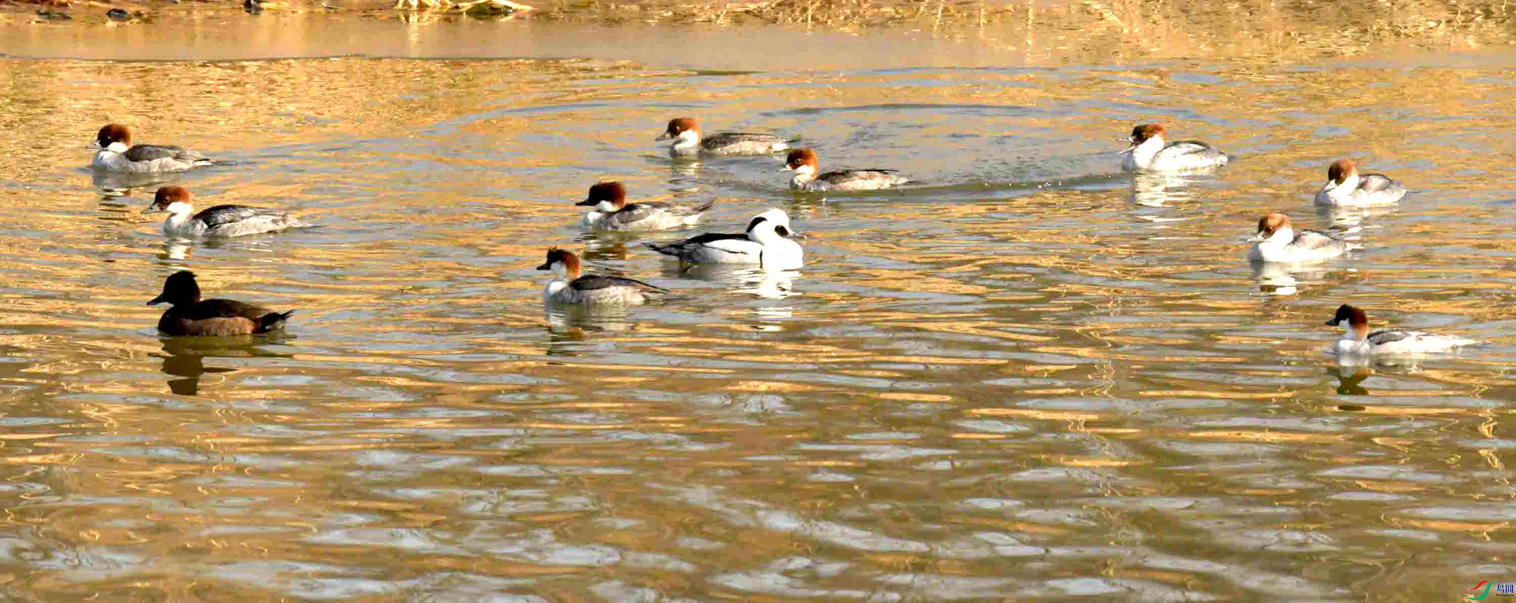 DSC_2186.JPG
