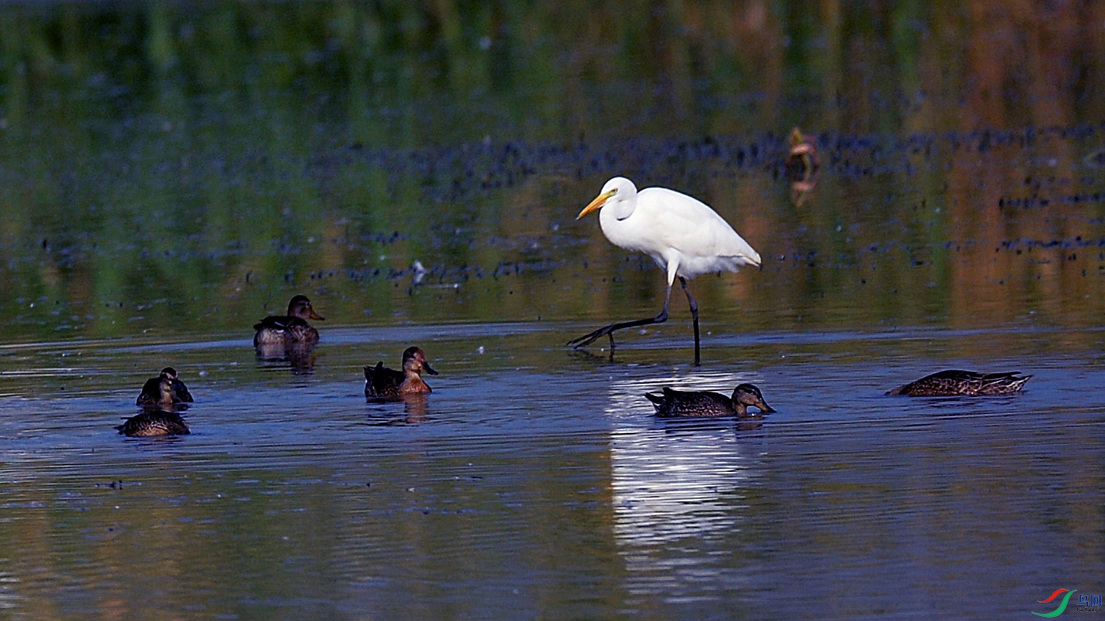 DSC_2285.jpg