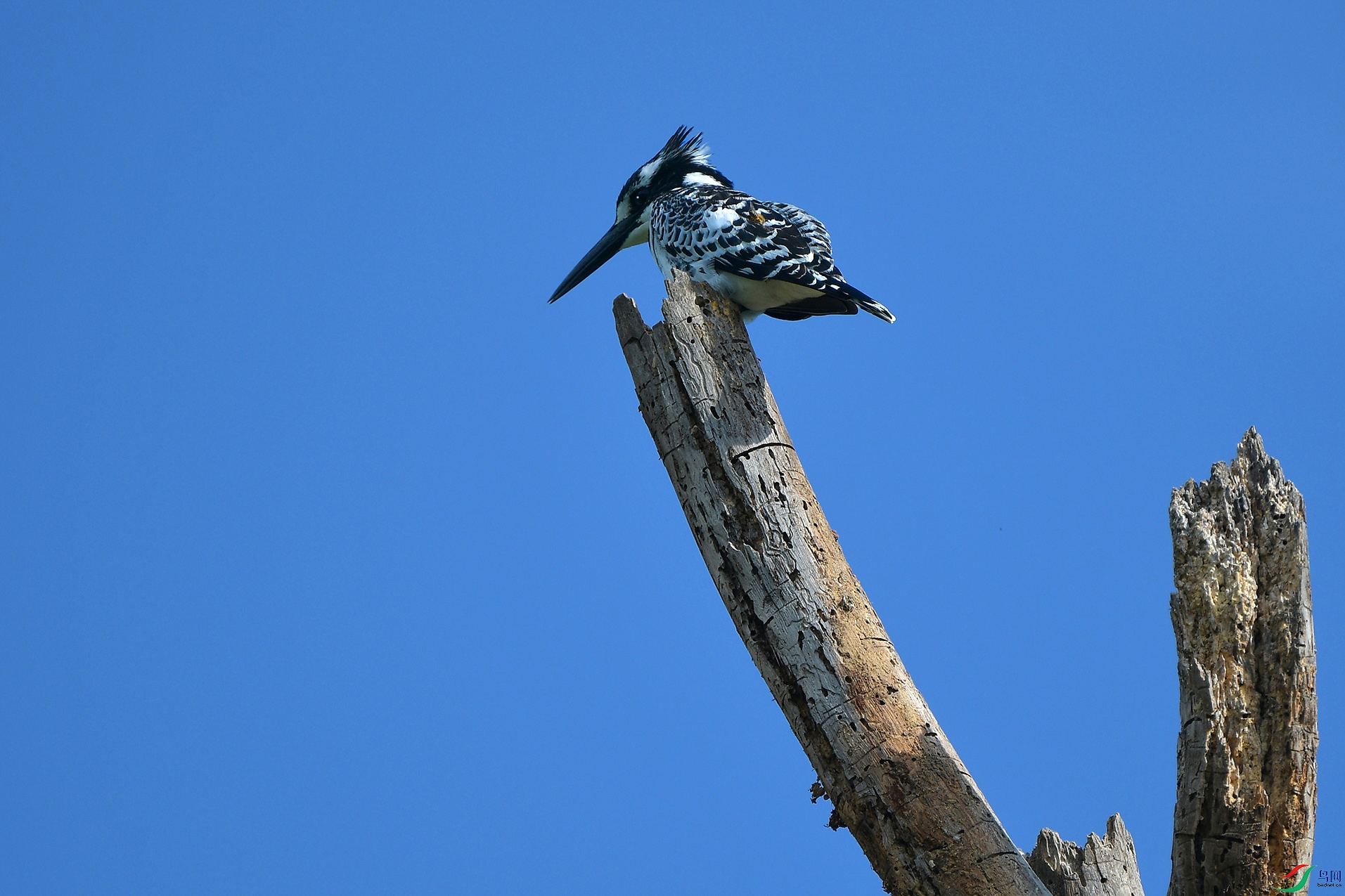 DSC_8646.JPG