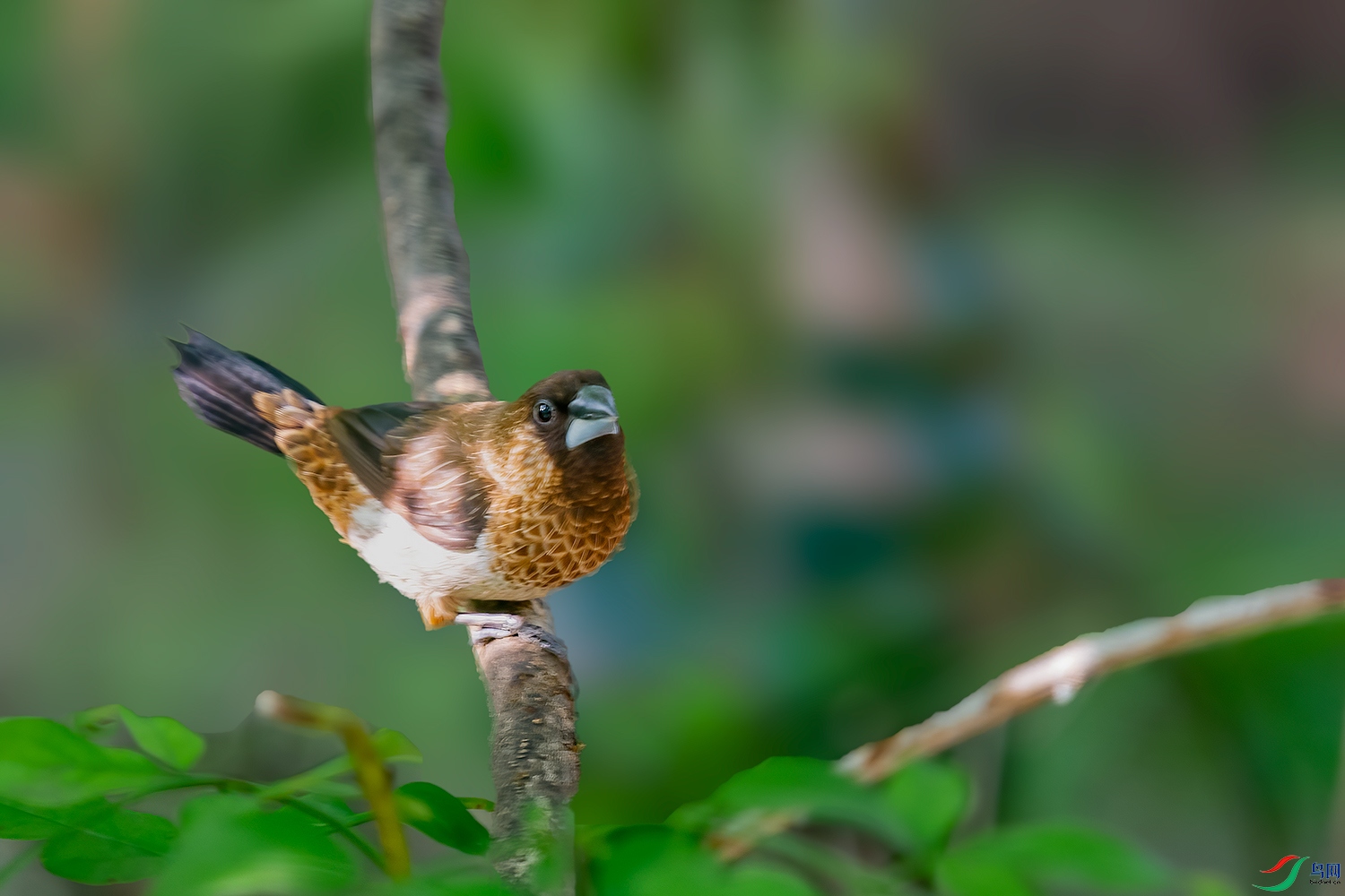 DSC_0891-2.jpg
