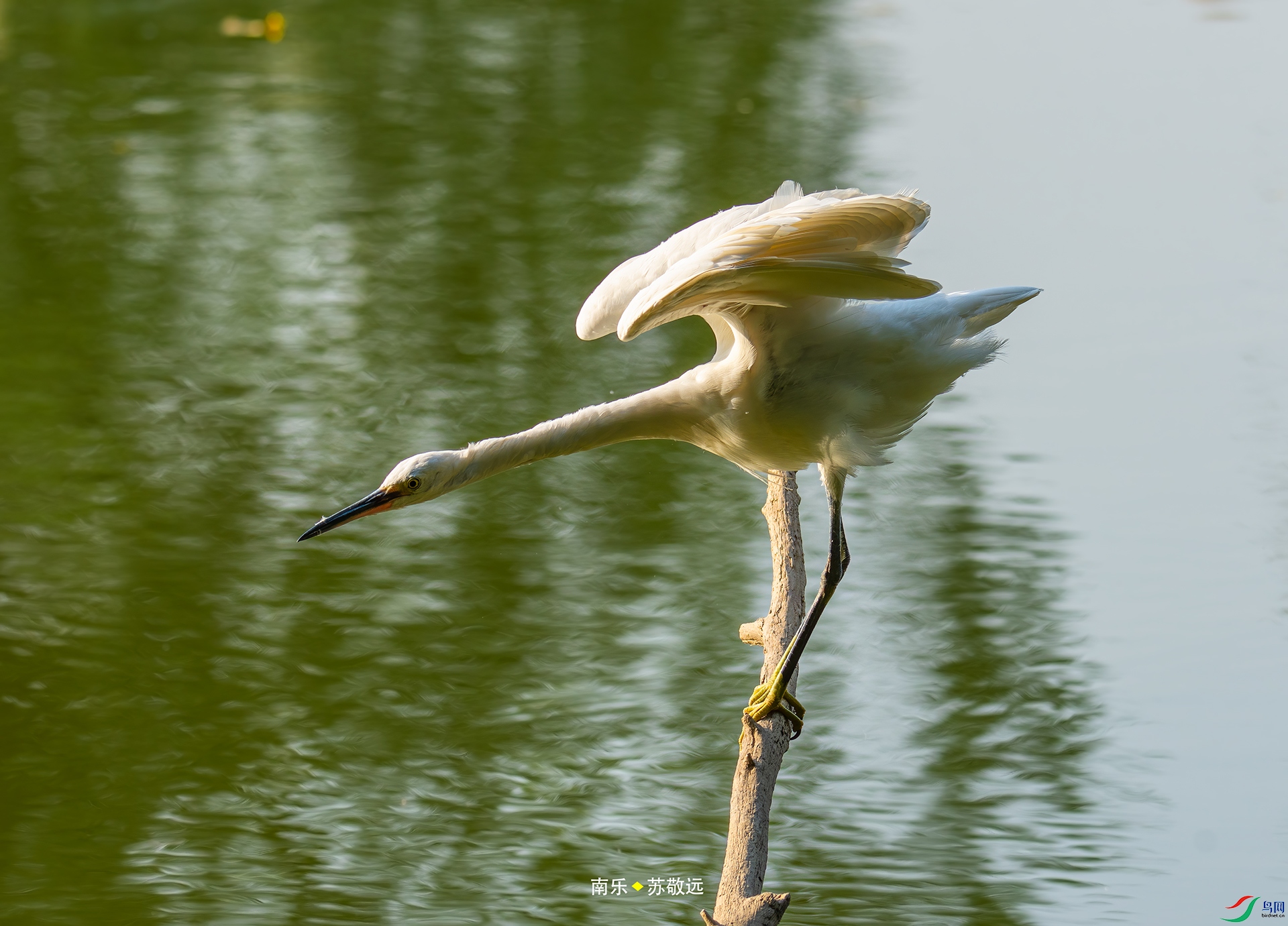 _DSC9480С.jpg