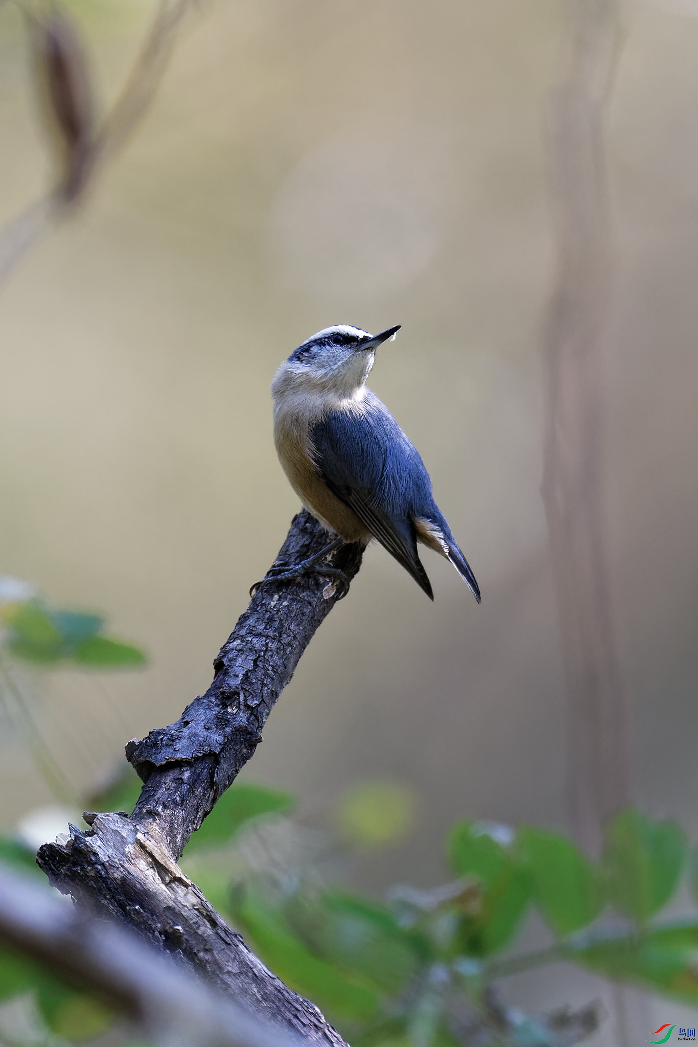 DSC_5222.jpg