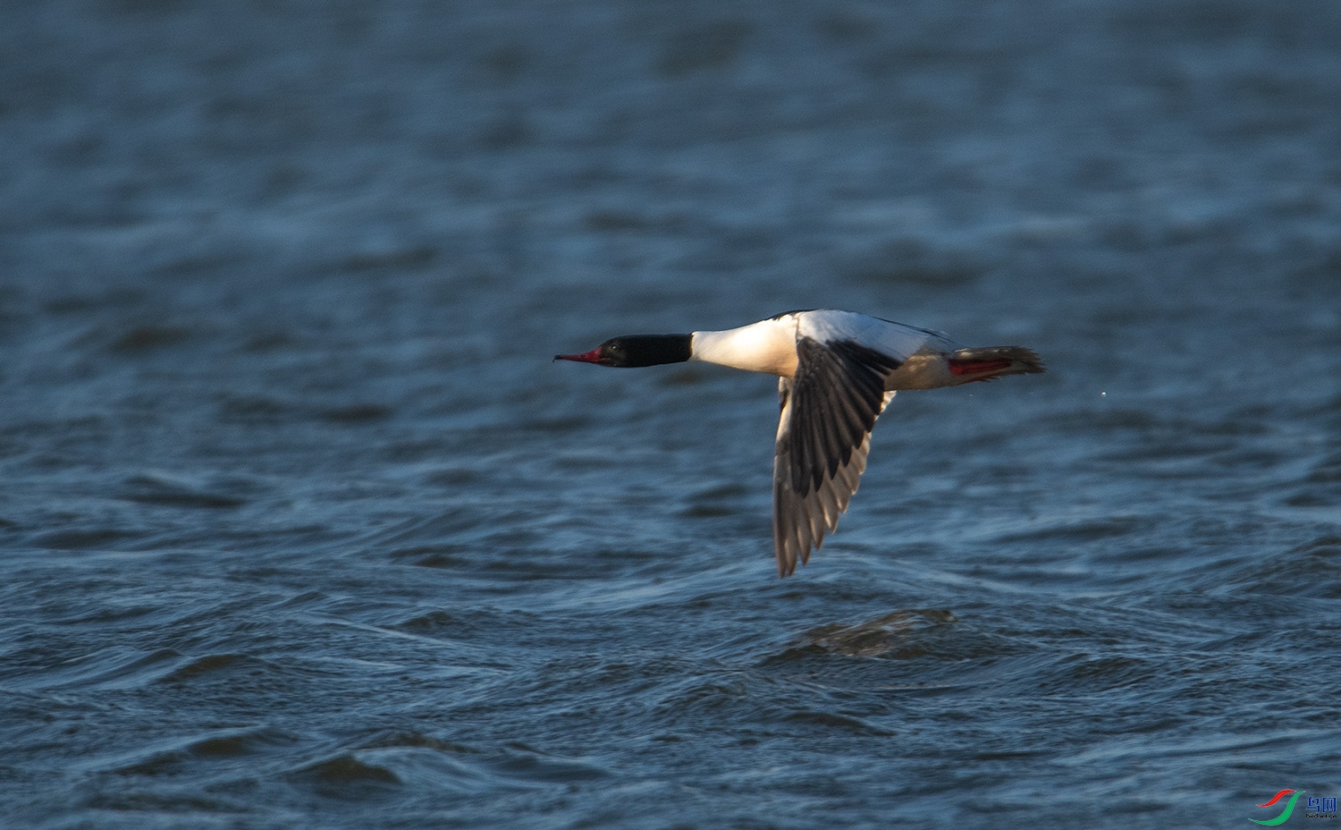 DSC_7525-3 (80).jpg