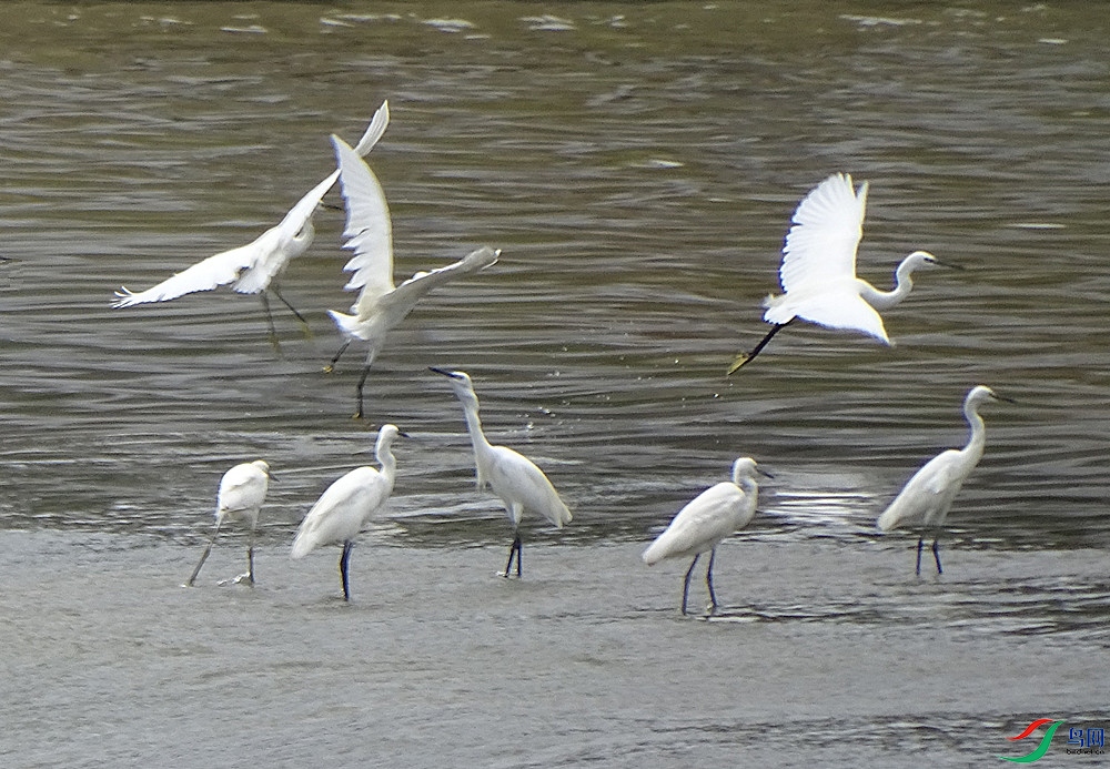 DSC01153 - ����_����.jpg