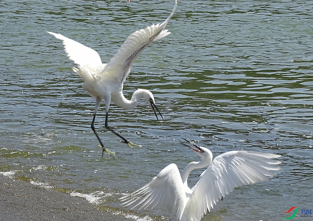 DSC02448_����.jpg