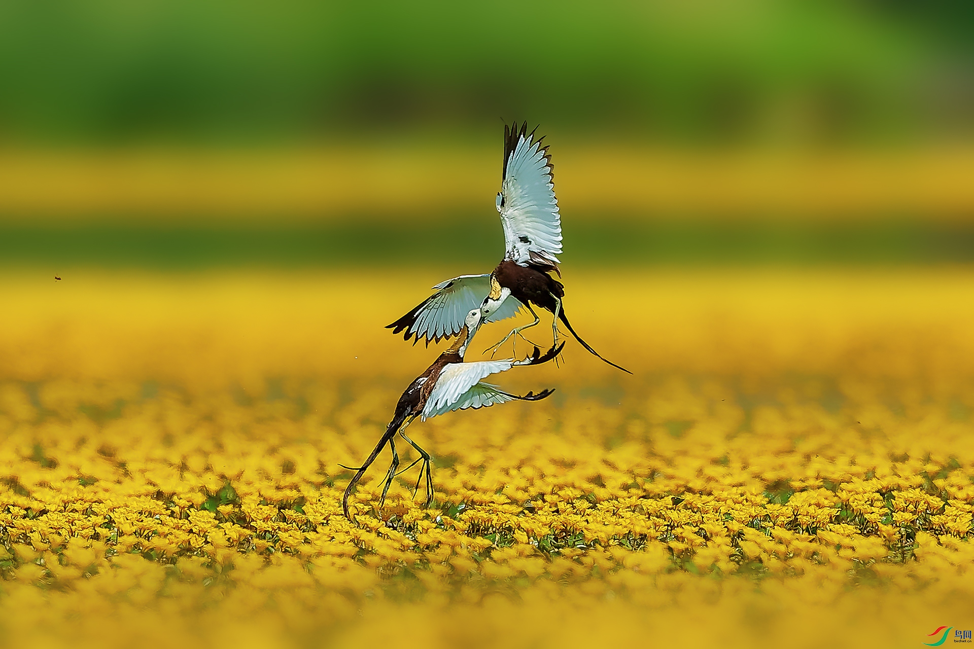 _V3I7793��-1 ����-HZW.jpg