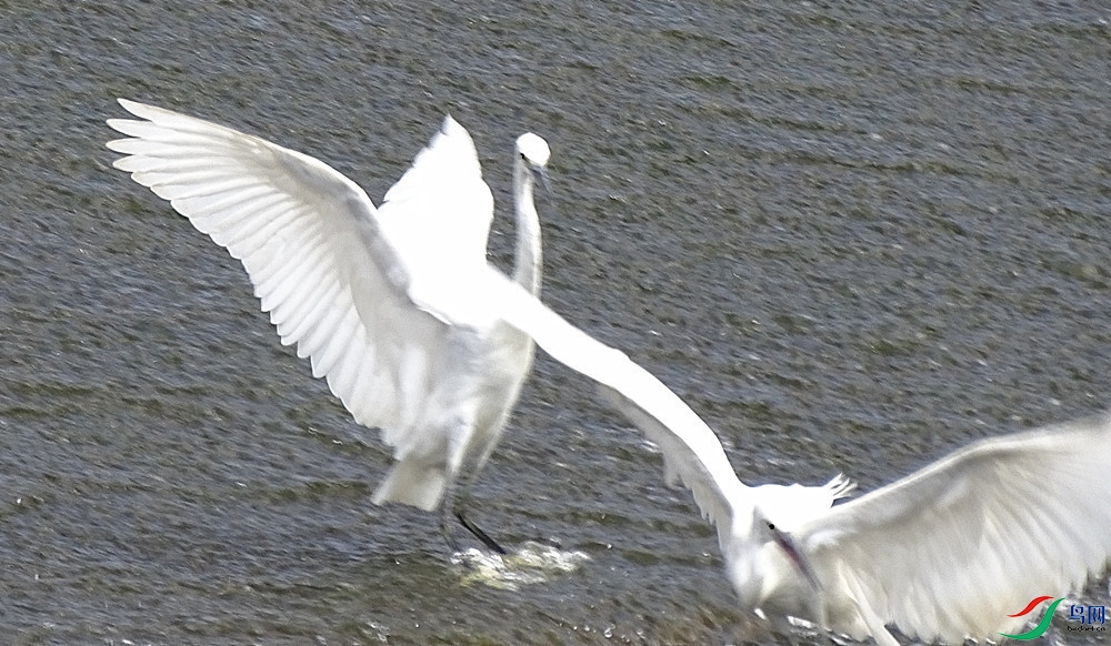 DSC012813.jpg
