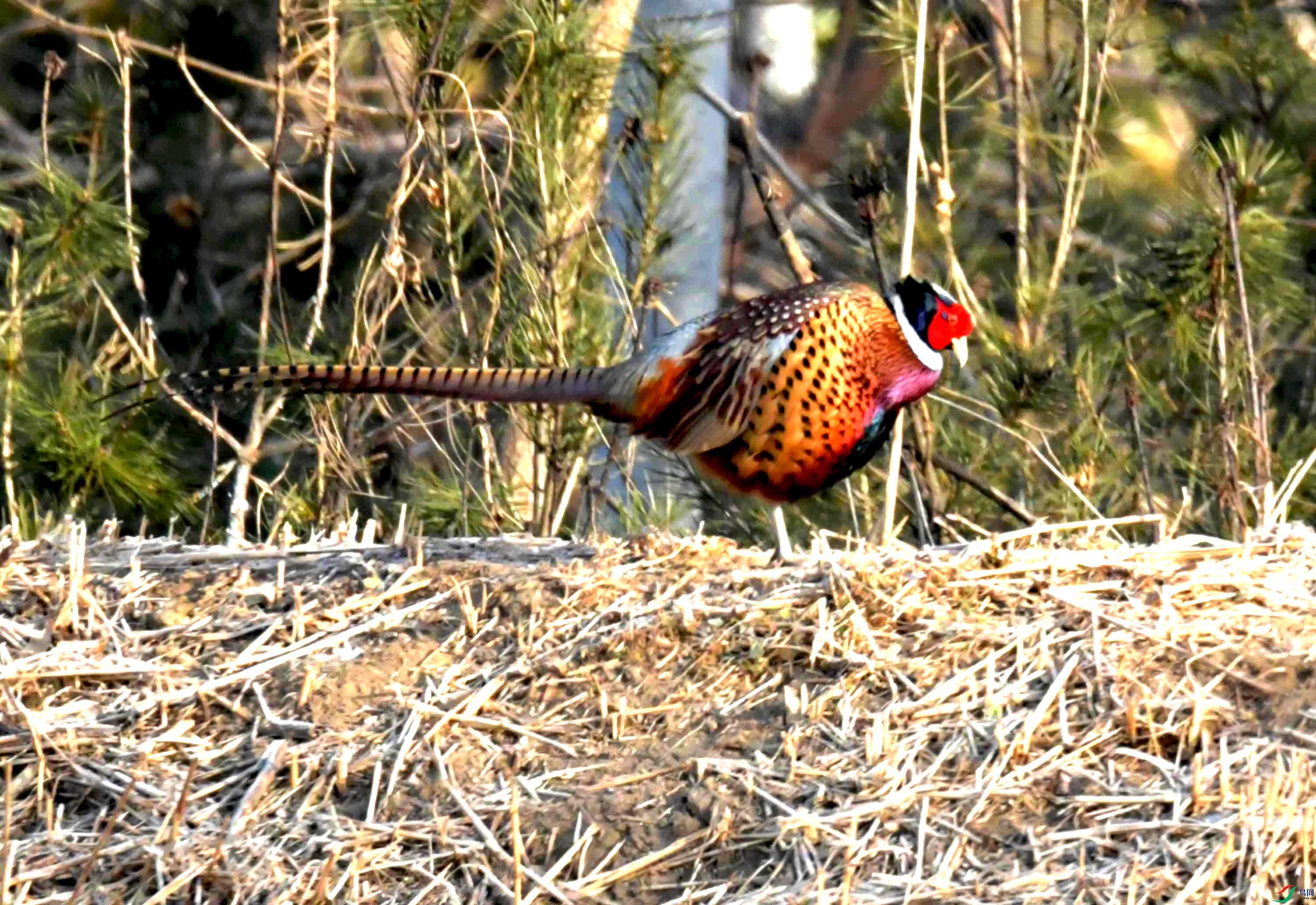 DSC_0056.JPG