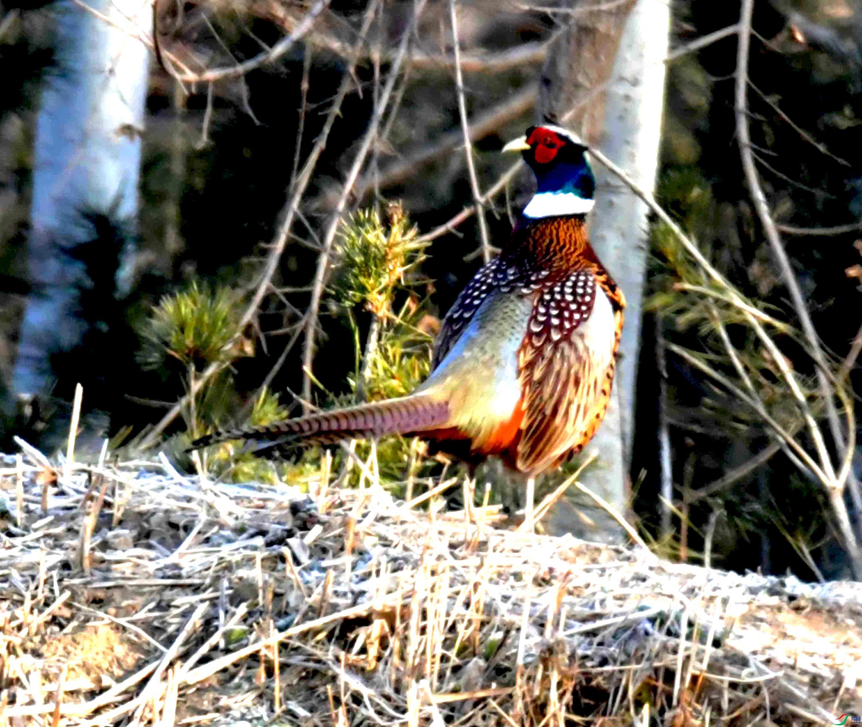 DSC_9989.JPG