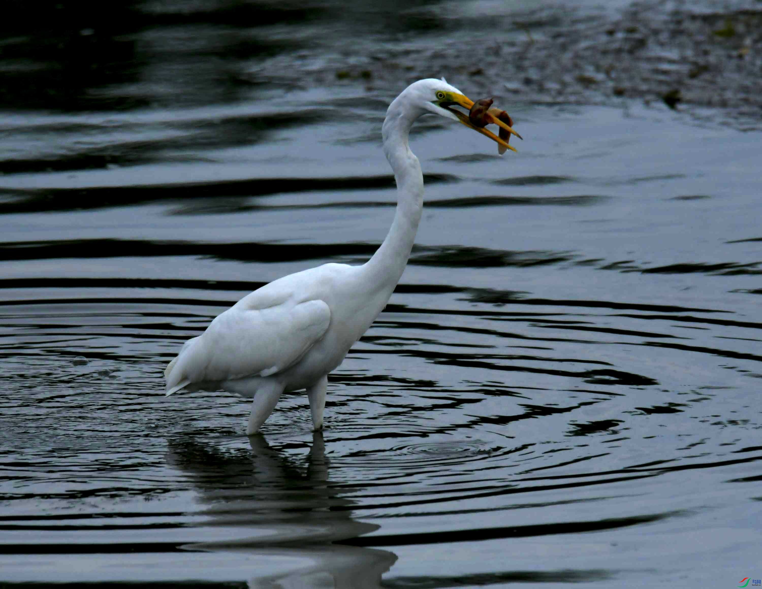 DSC_0024.JPG