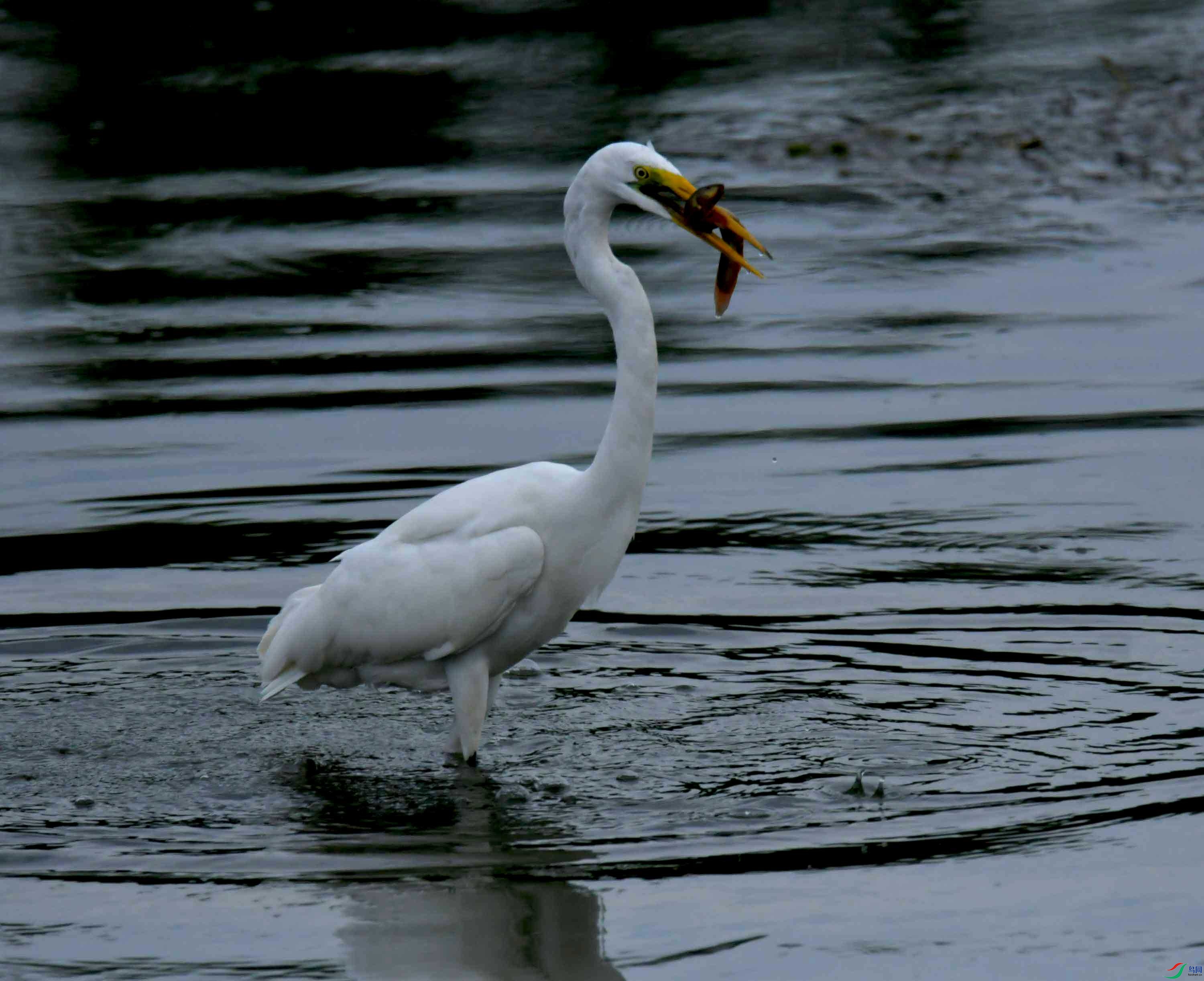 DSC_0023.JPG