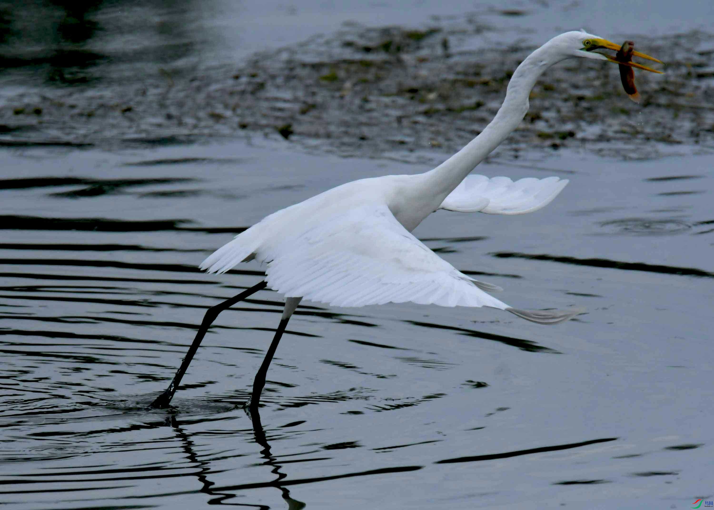 DSC_0027.JPG