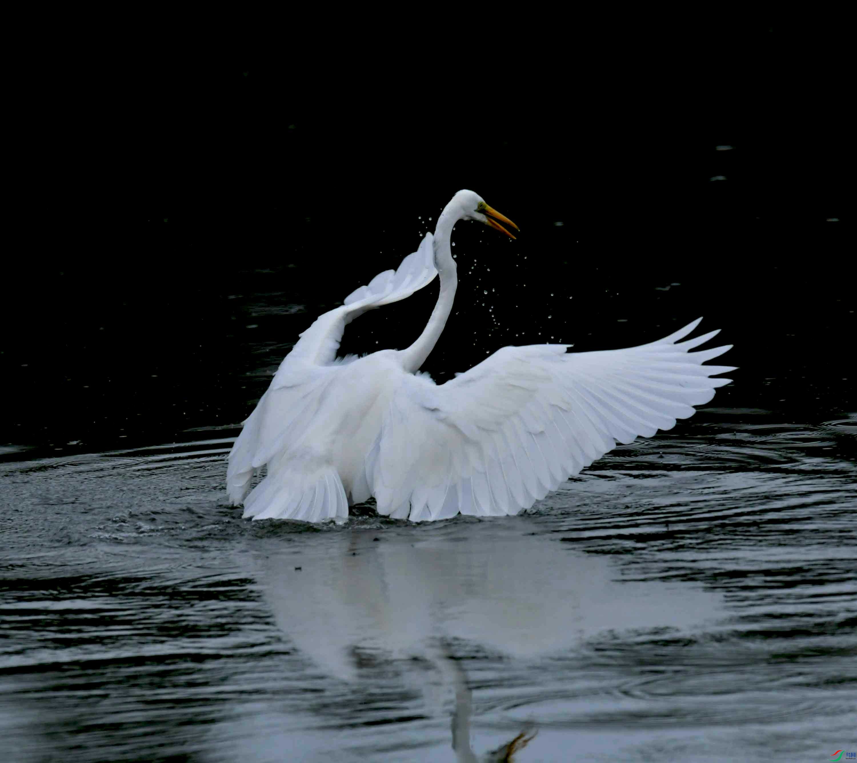 DSC_0038.JPG