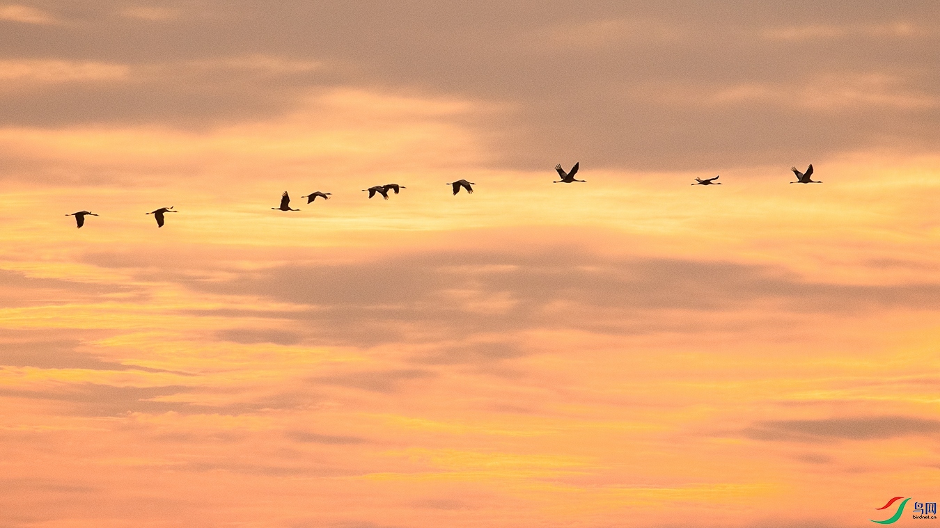 DSC_7815 - ����.jpg