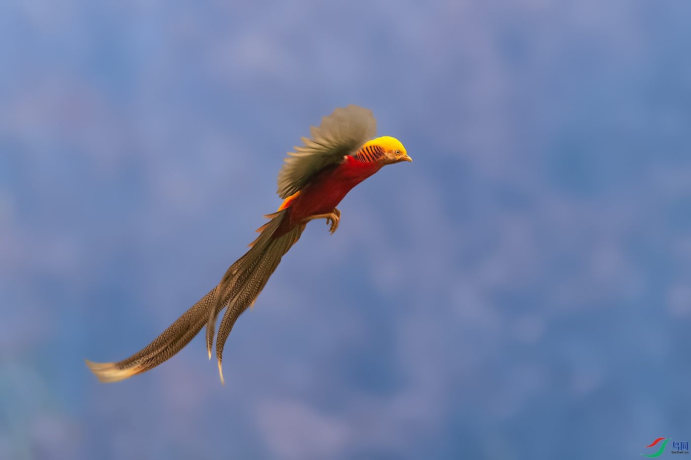 DSC_8492_DxOa.jpg