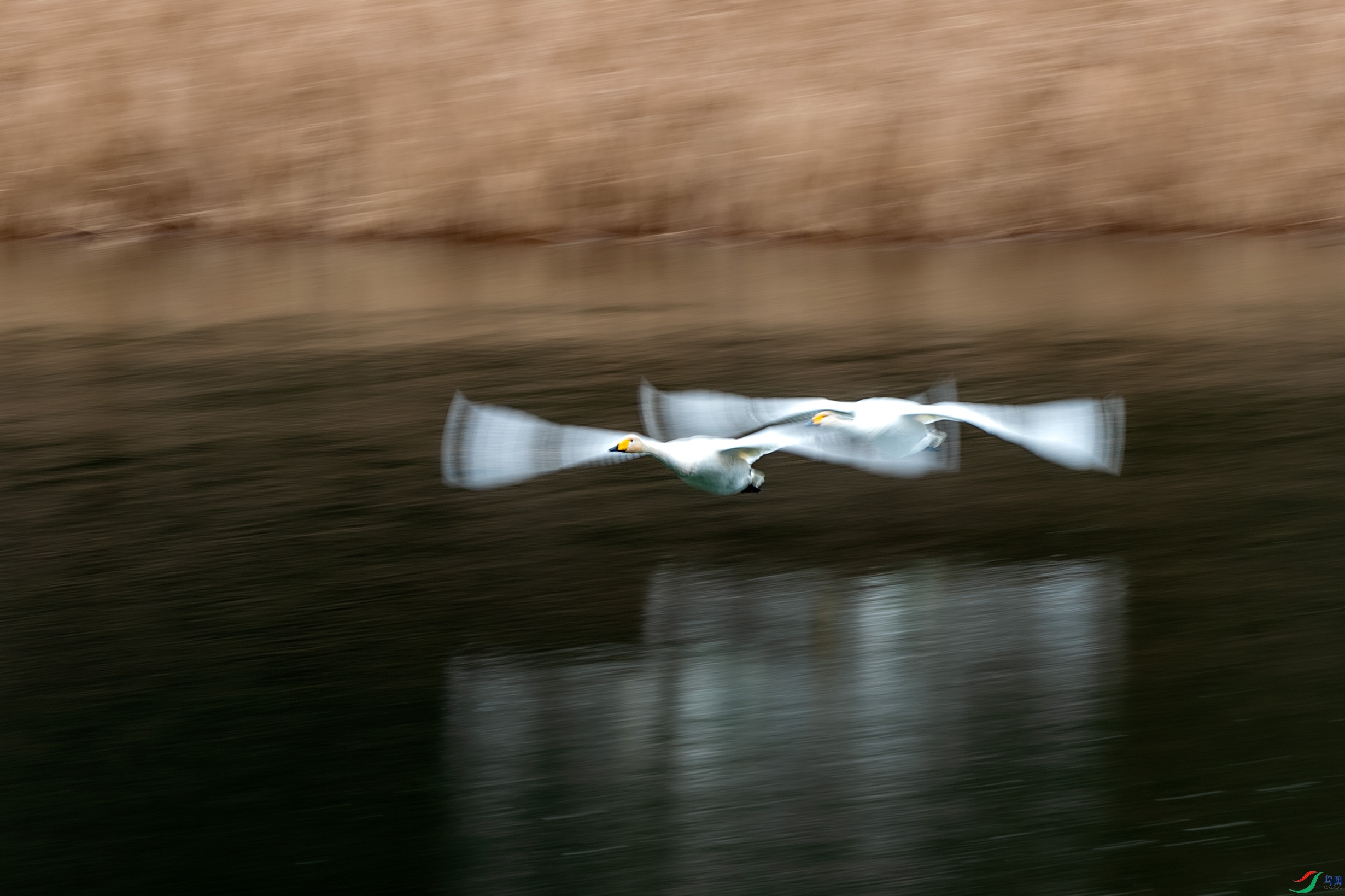 DSC_7988.jpg