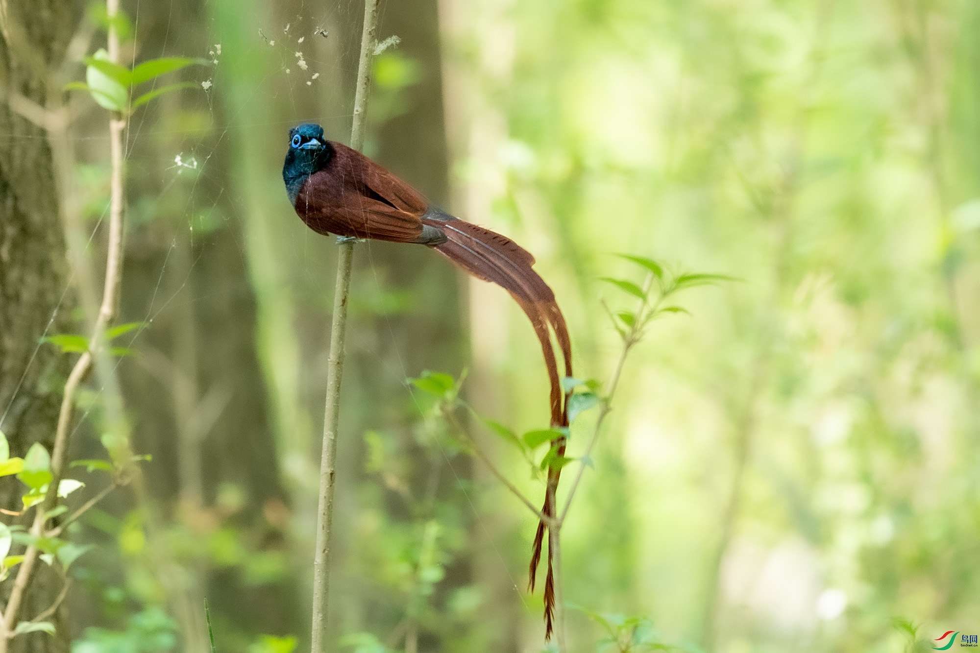 AAE_8091.jpg