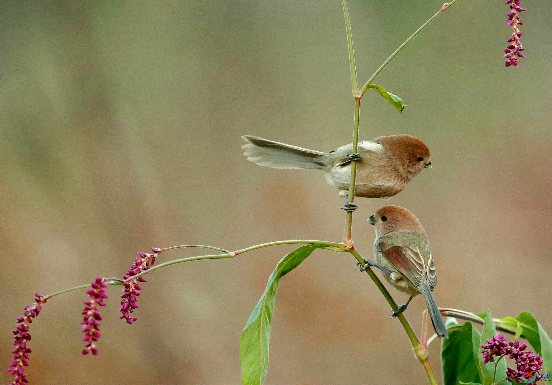 ��ͷѻȸ 1_����_����.jpg