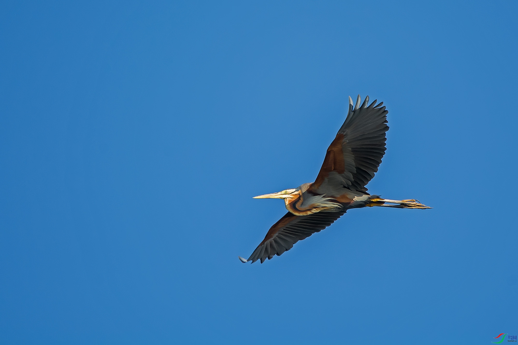 n-2017.06.22-DSC_3498.jpg