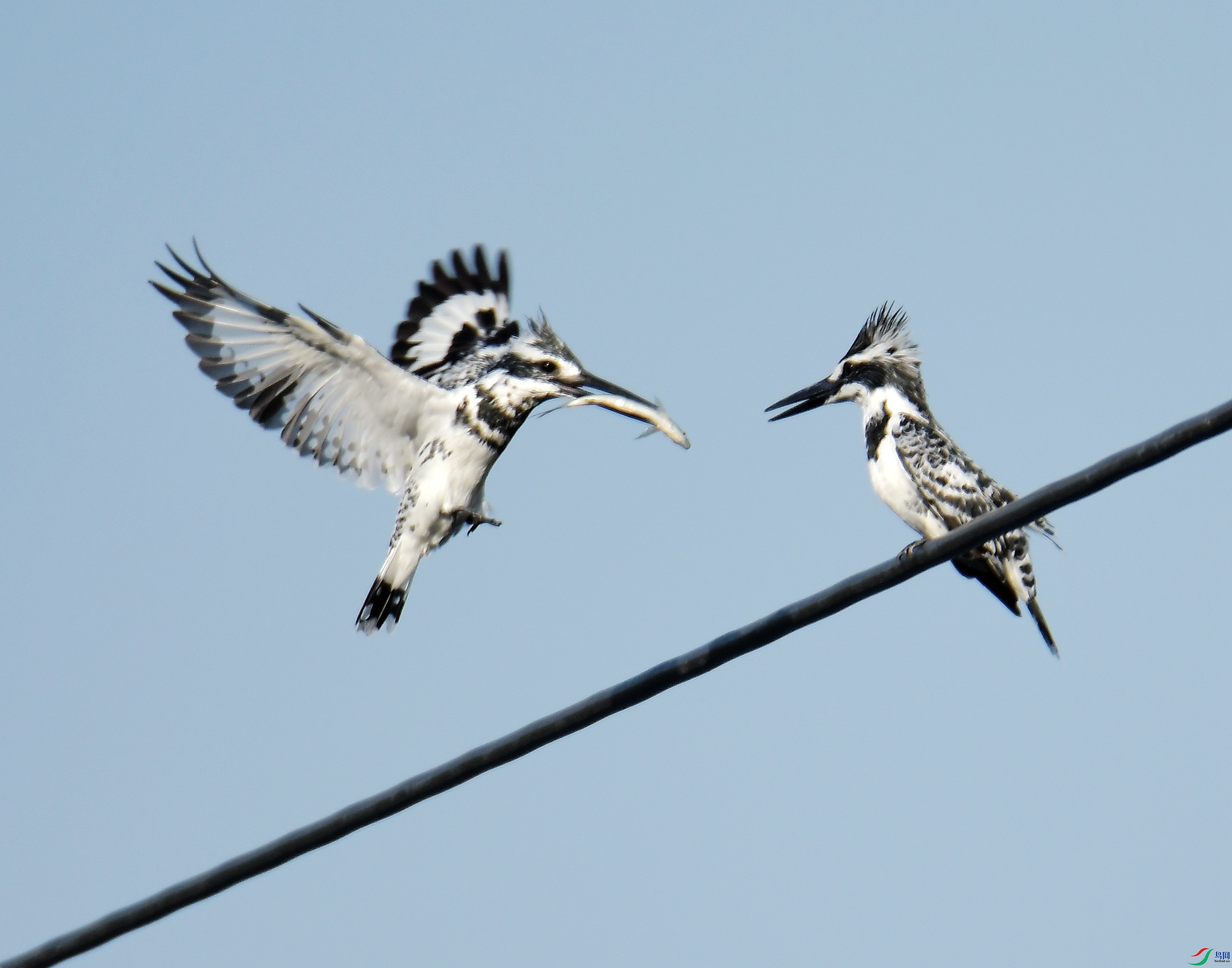 ���㹷�İ�2