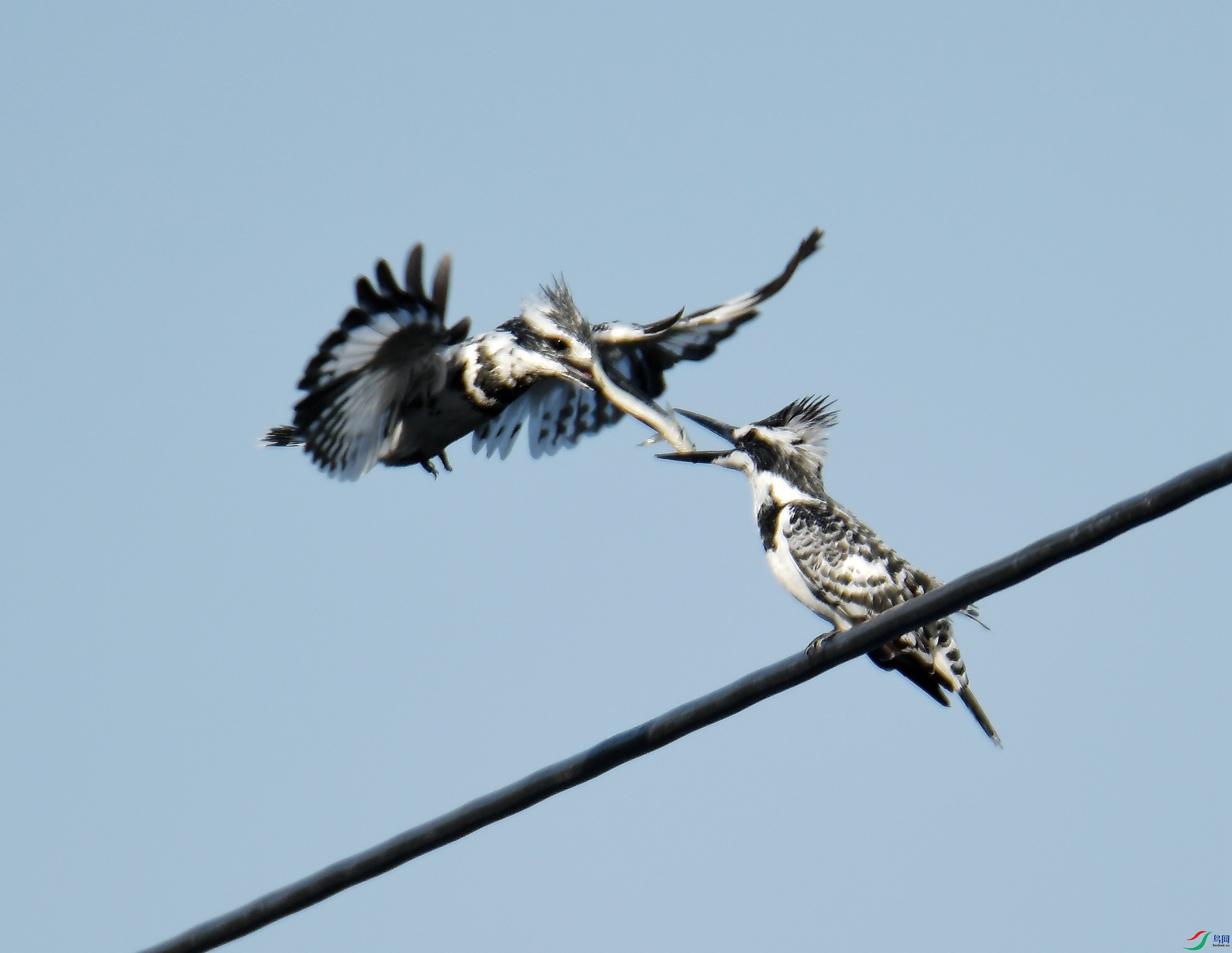 ���㹷�İ�5