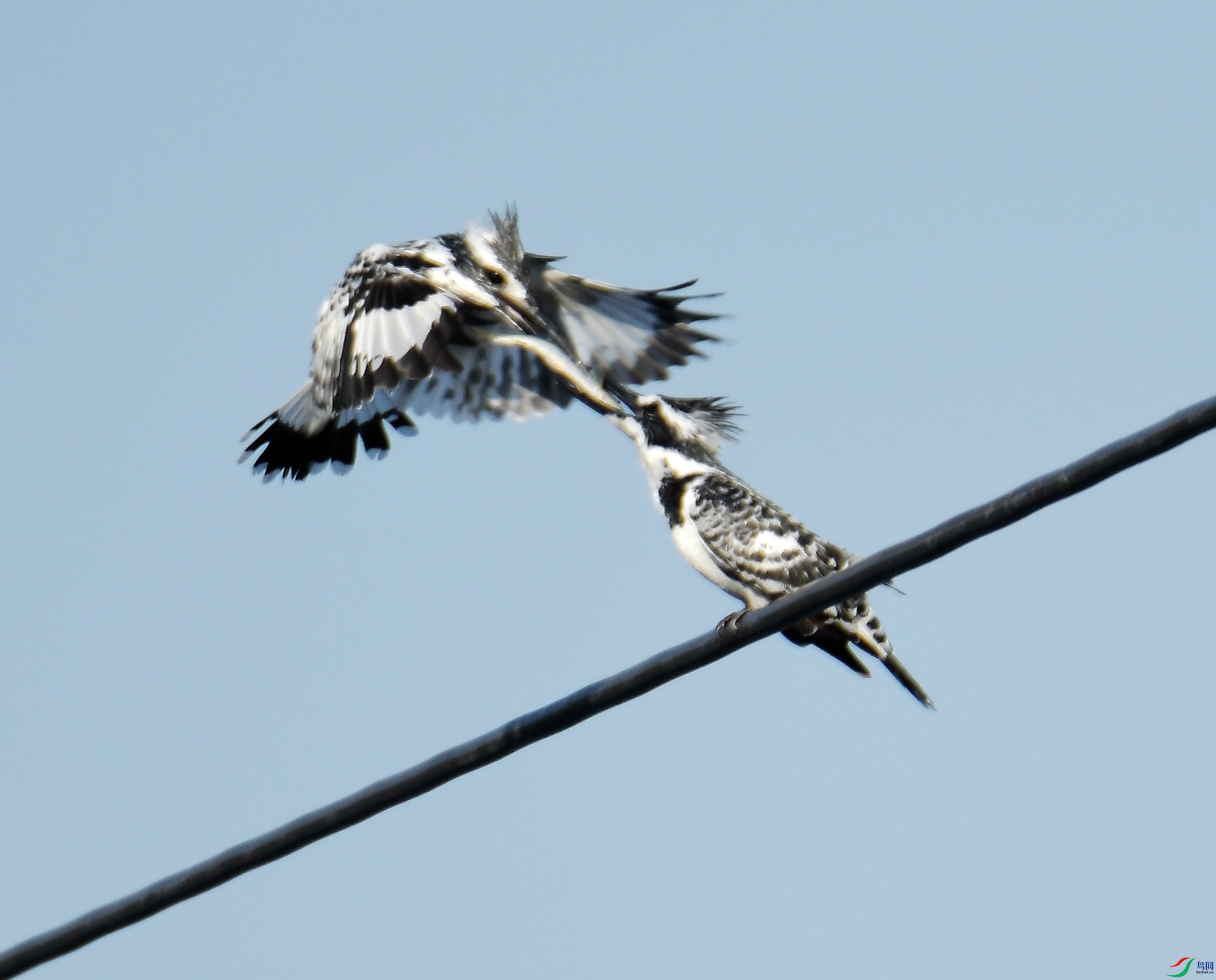 ���㹷�İ�4