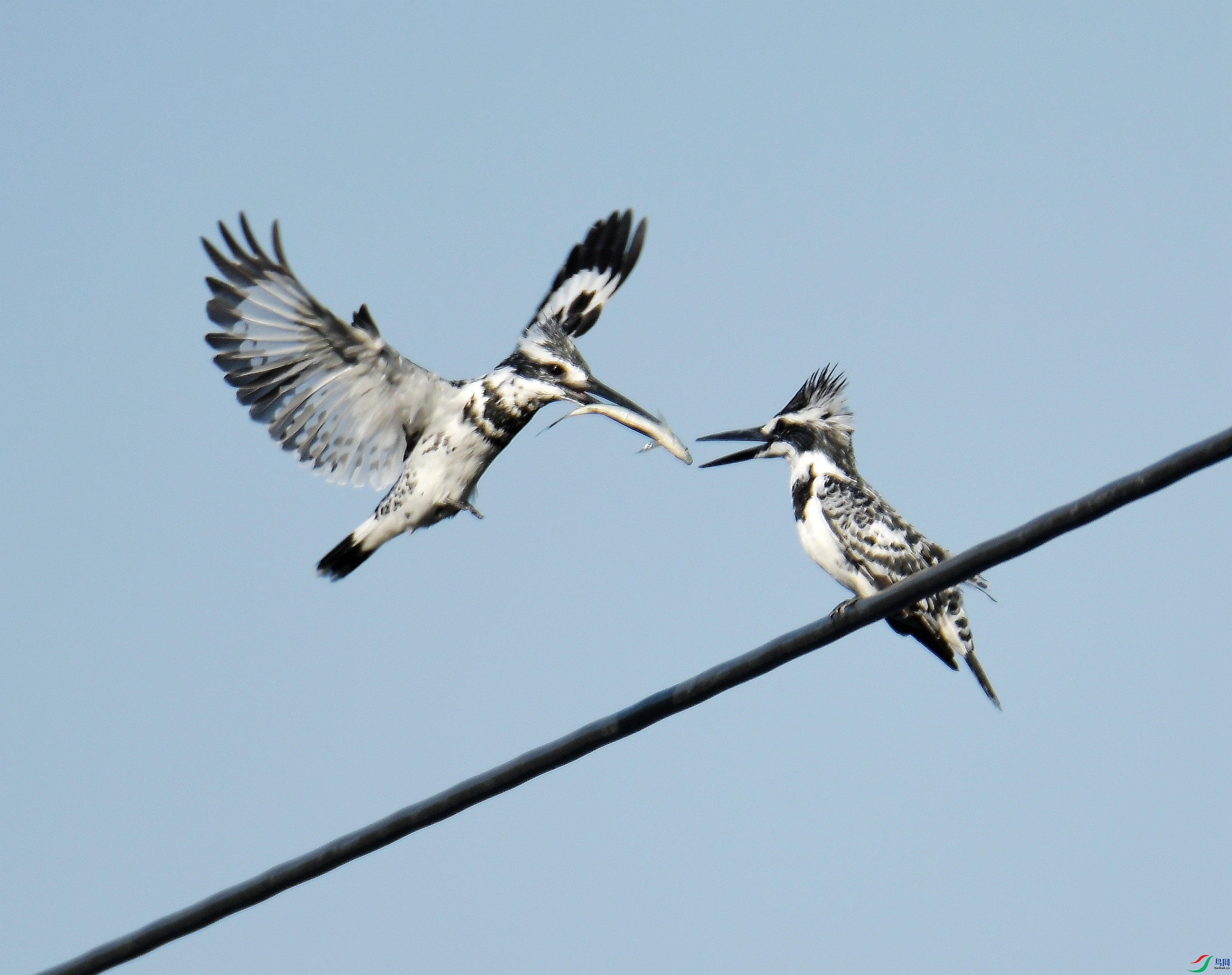 ���㹷�İ�3