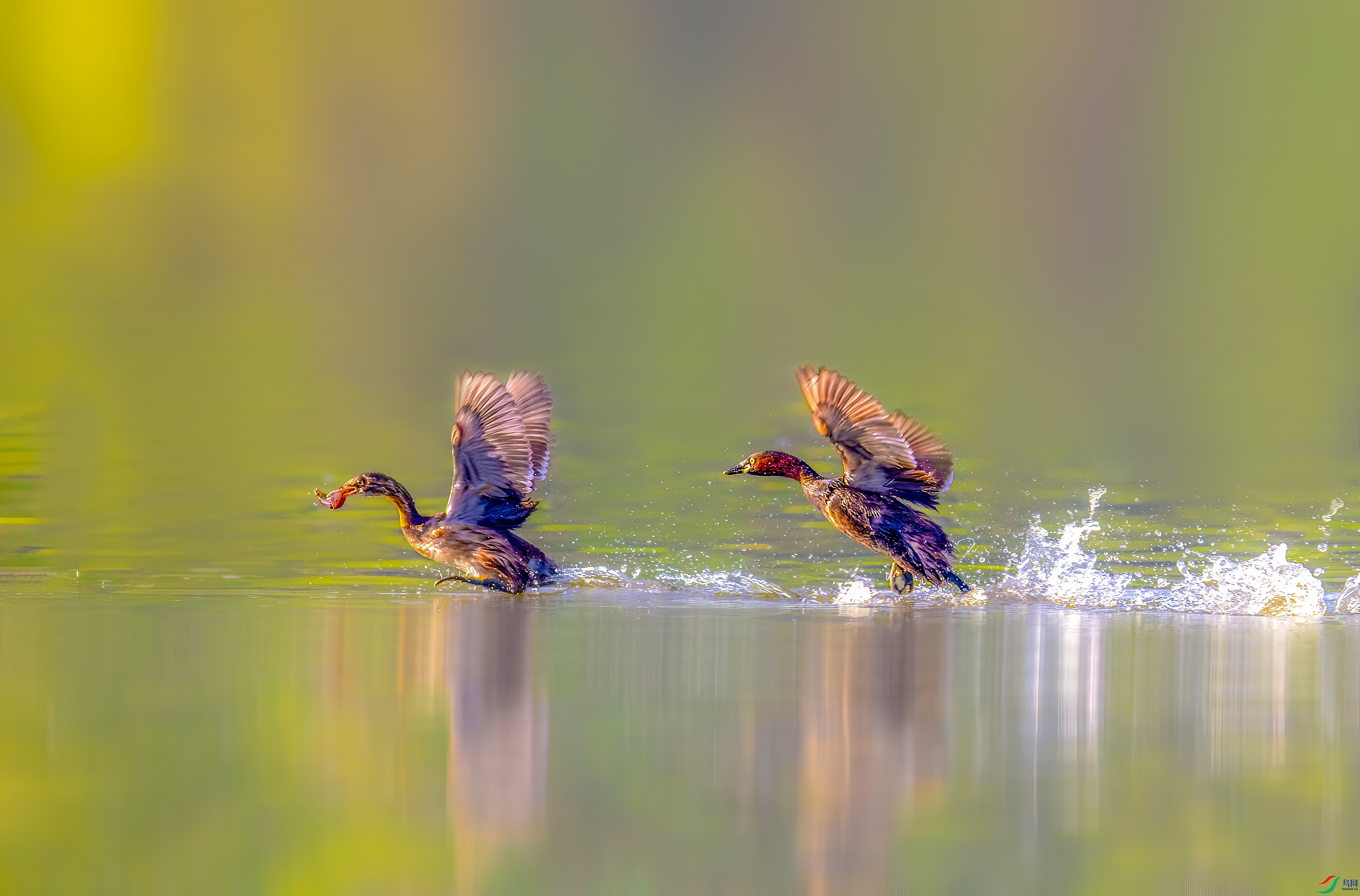 _JLN3087_1     ok.jpg