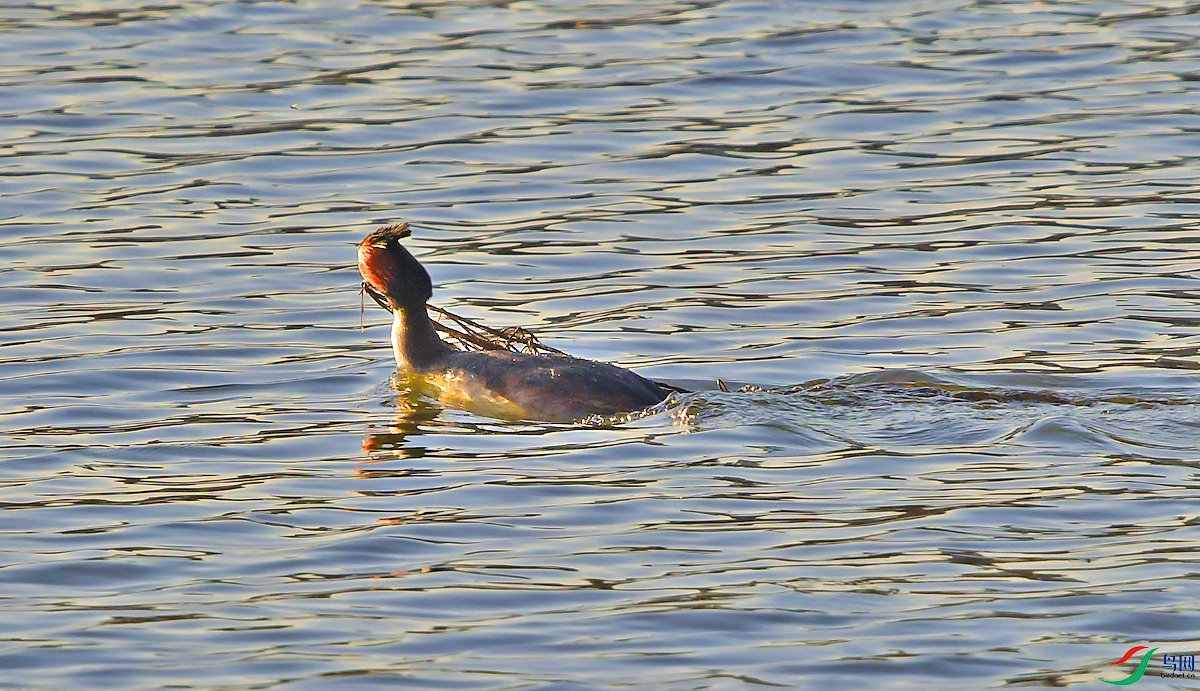 DSC_8186.JPG