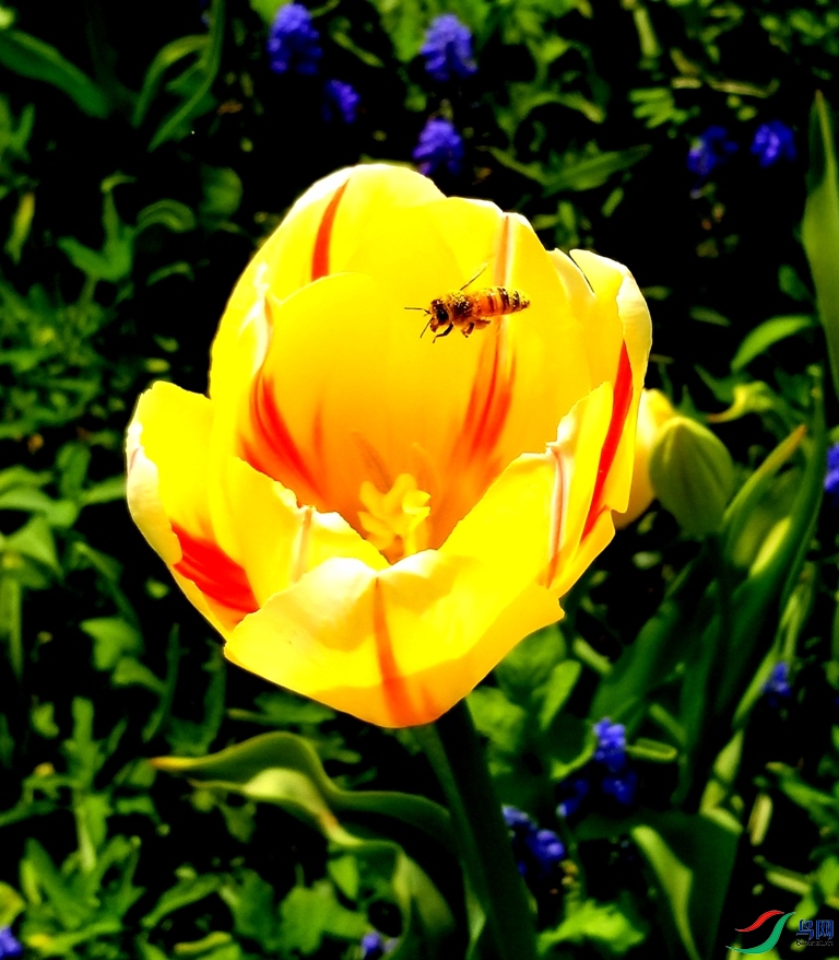 �ֻ���Ƭ 1054.jpg