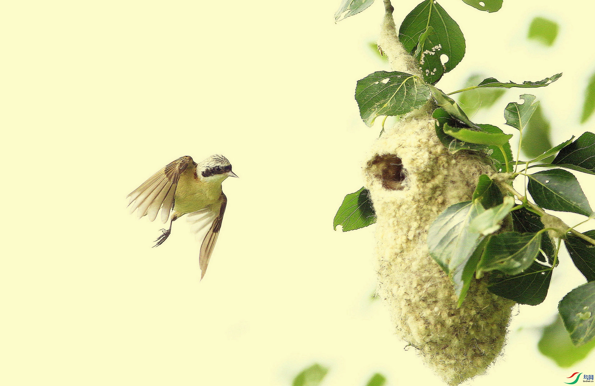 ��ȸ 7_����  =.jpg