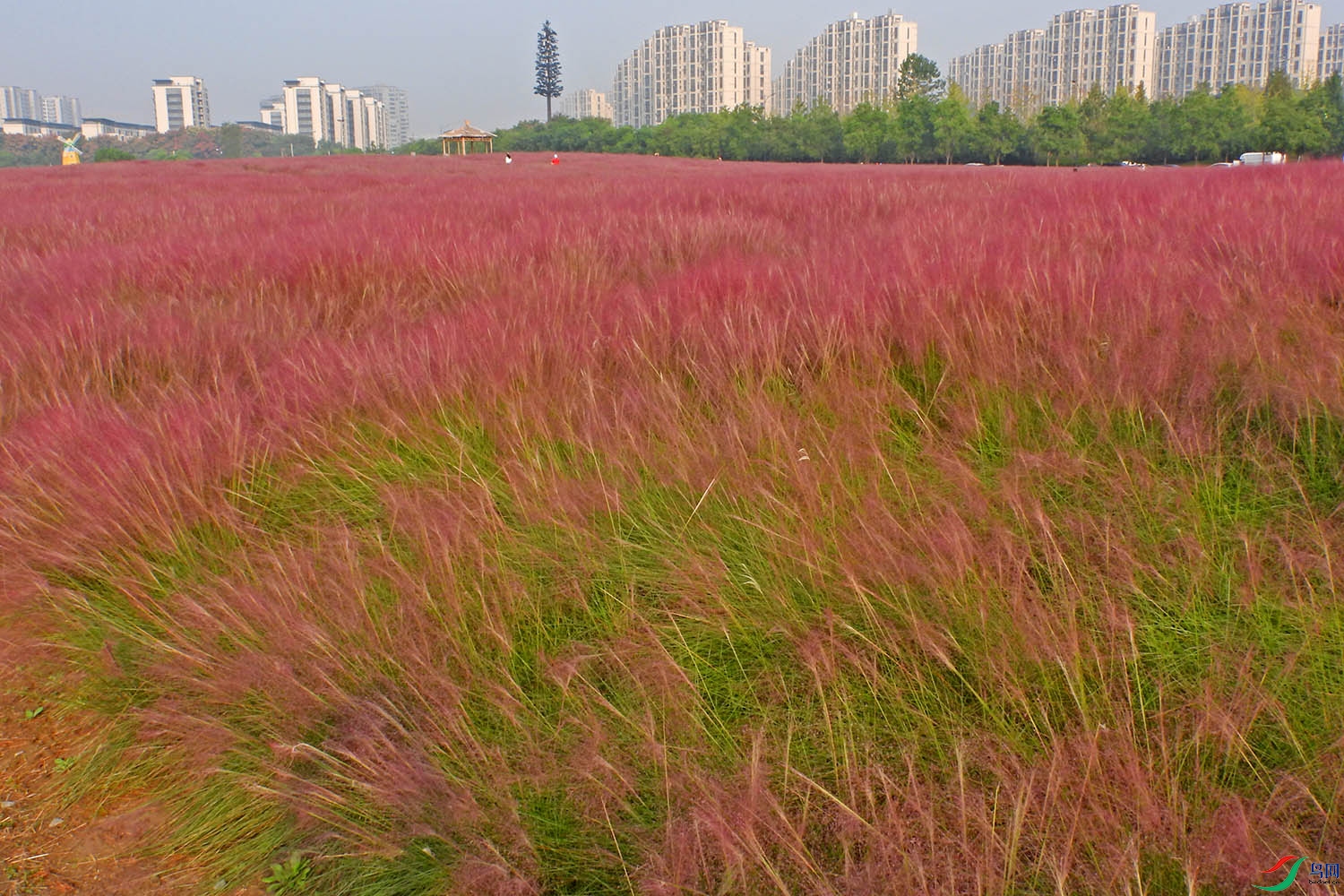DSCN6829.JPG