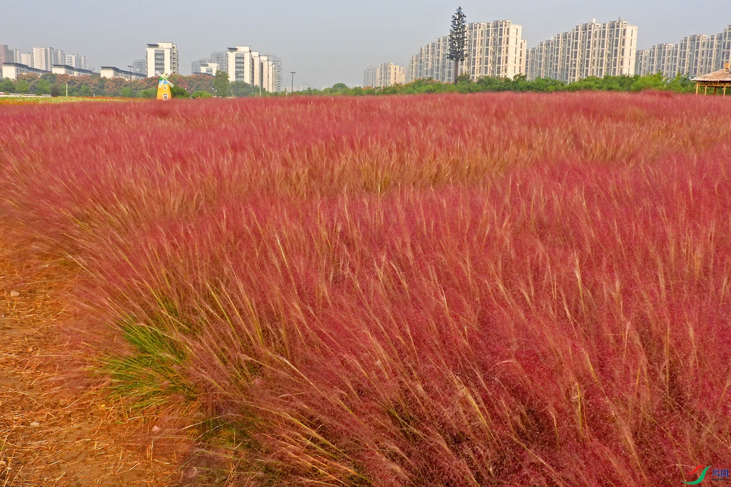 DSCN6830.JPG