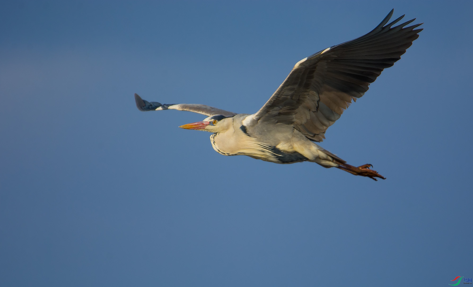 DSC_5162.jpg