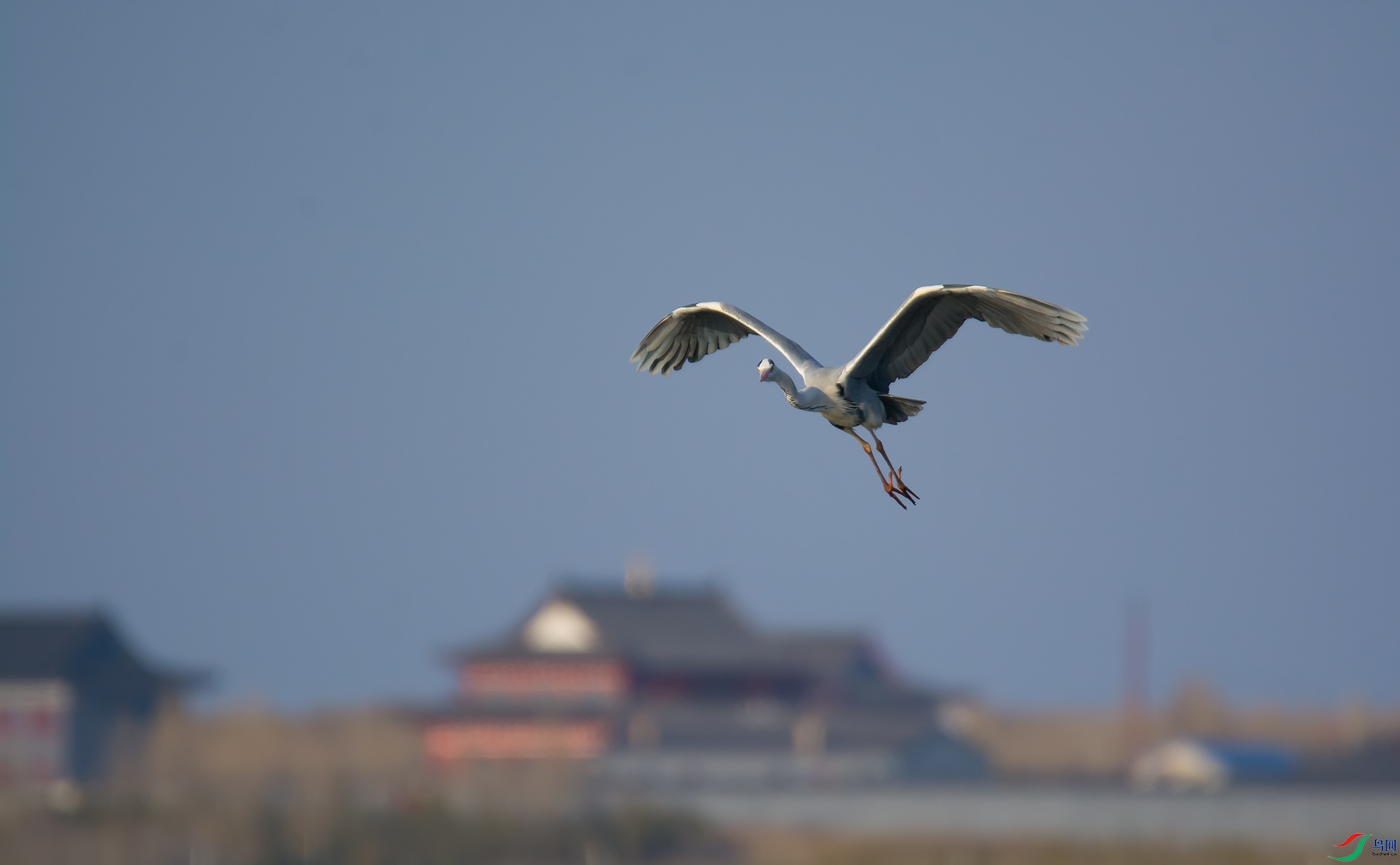 DSC_5222.jpg