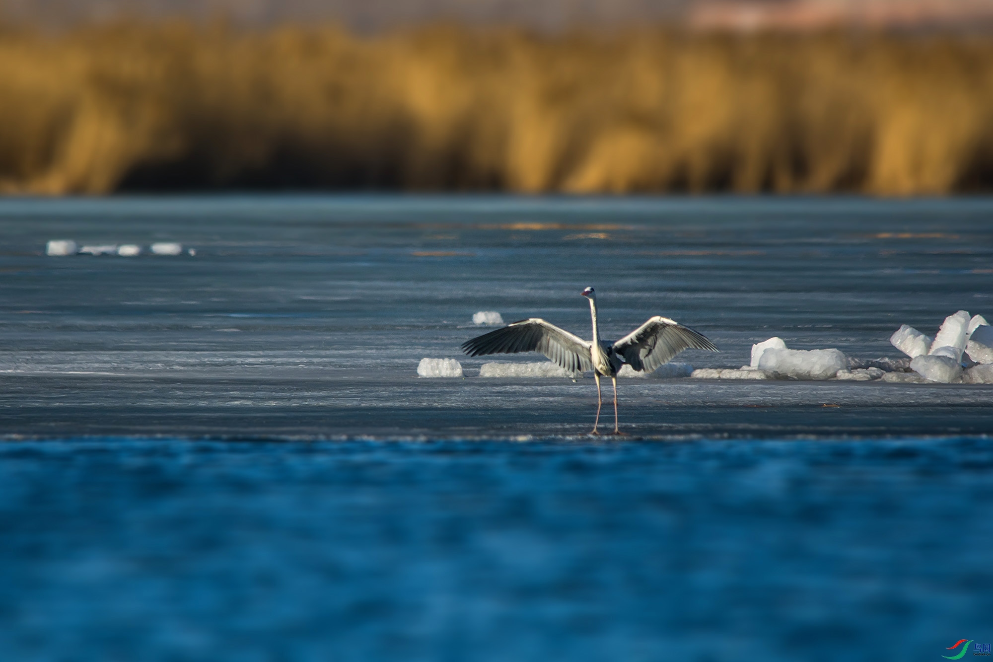 DSC_5862.jpg