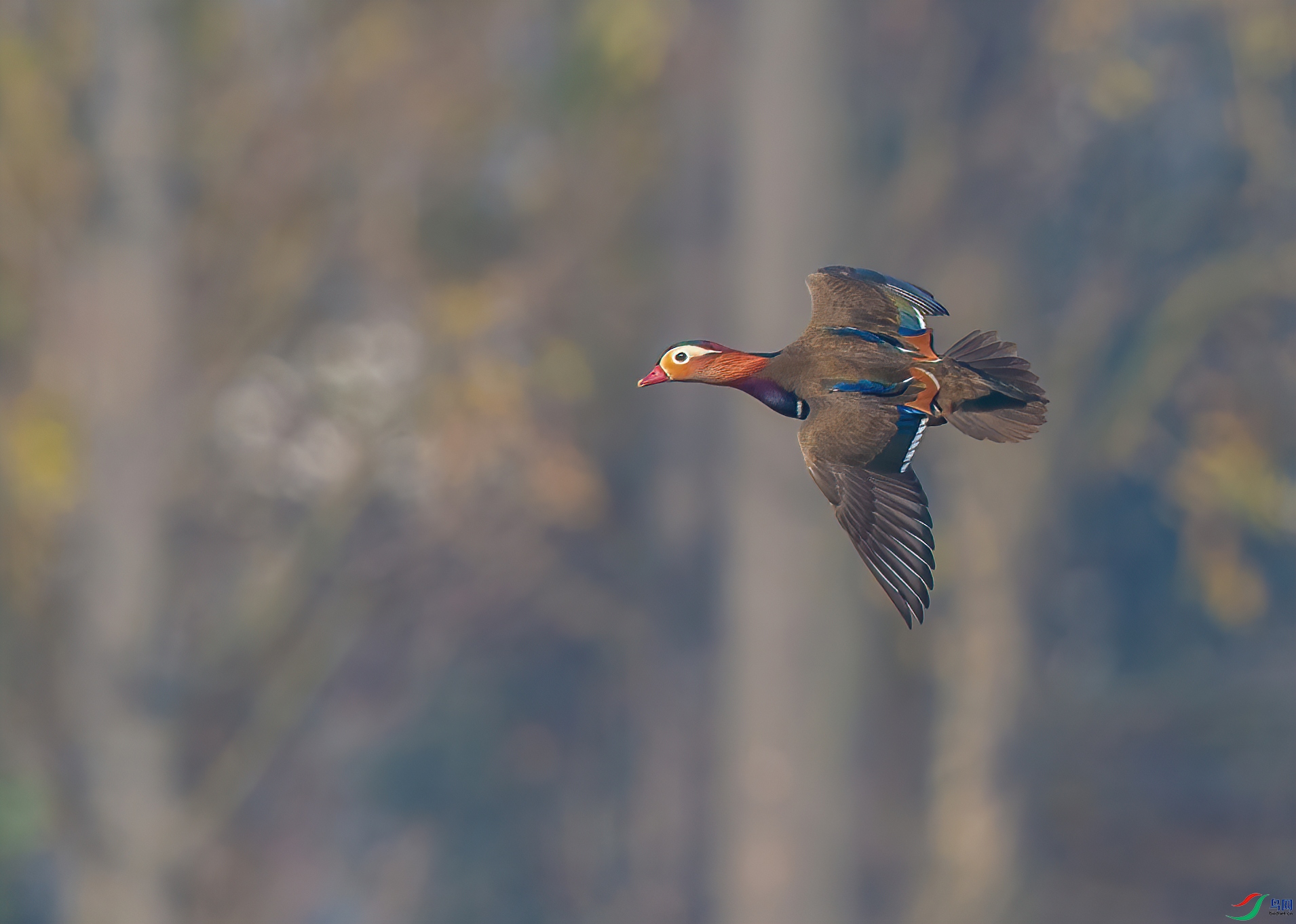 DS1_9154.jpg