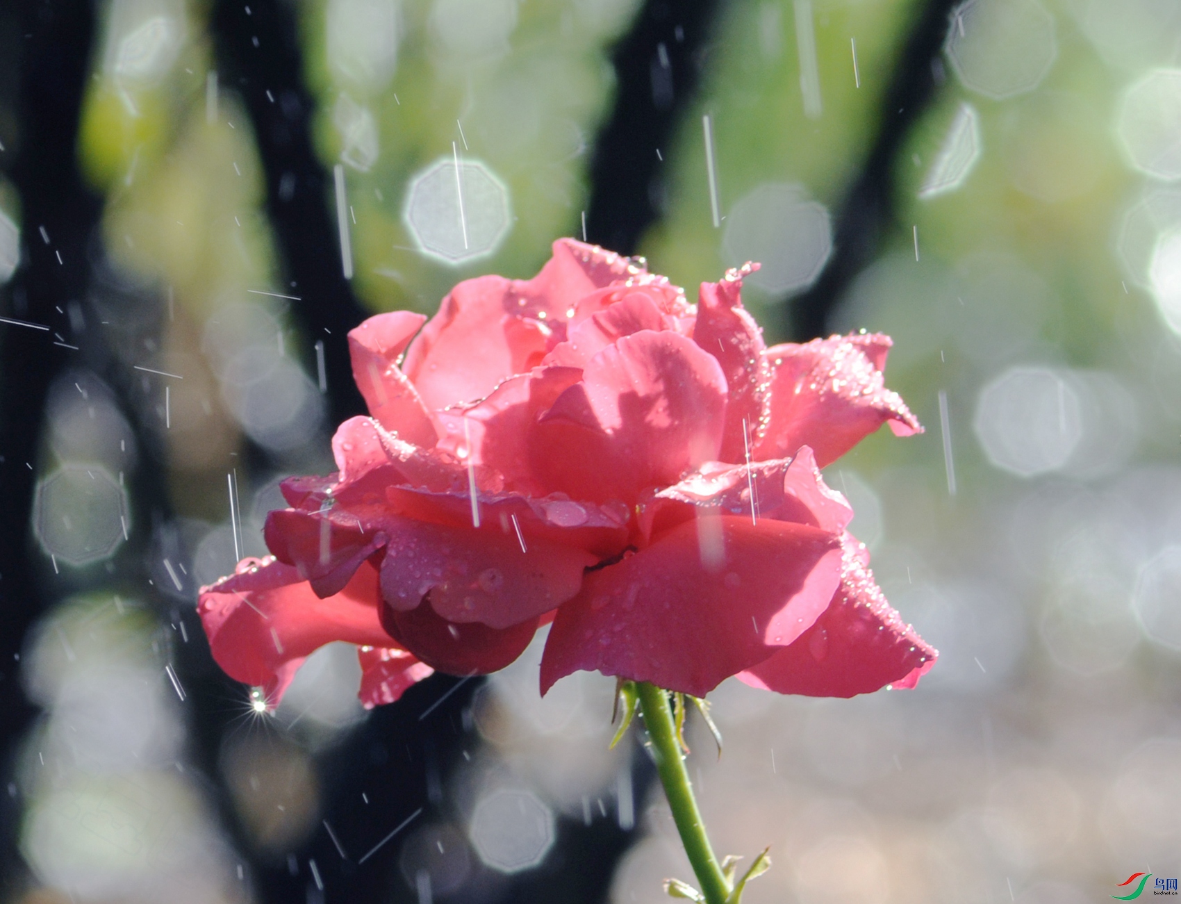 DSC_1880_.jpg