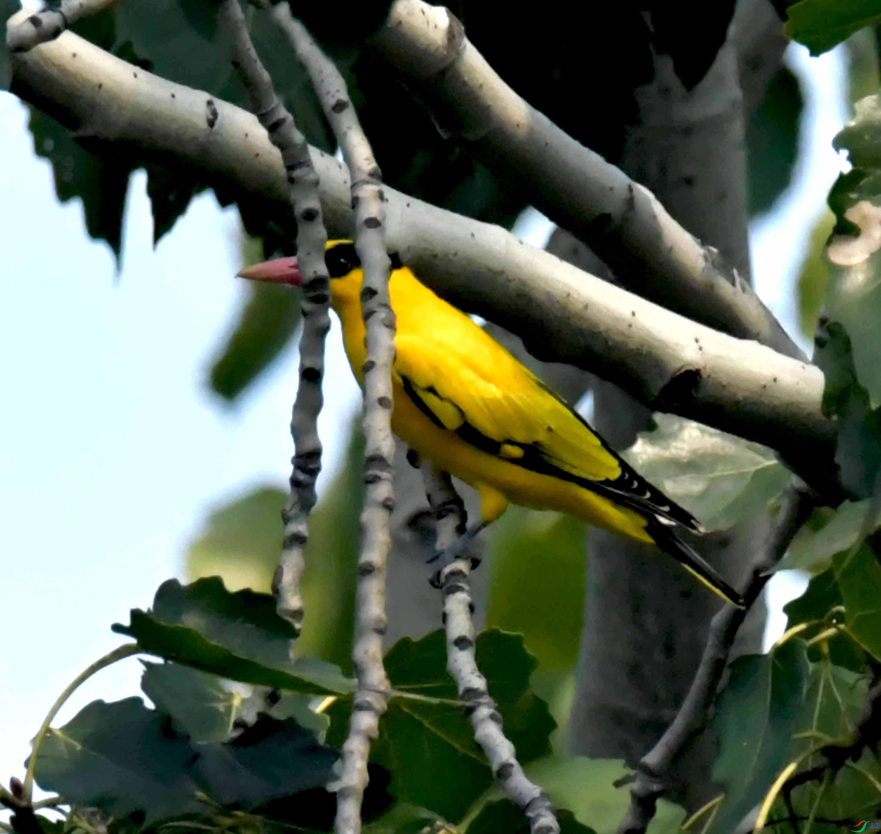 DSC_6489.JPG