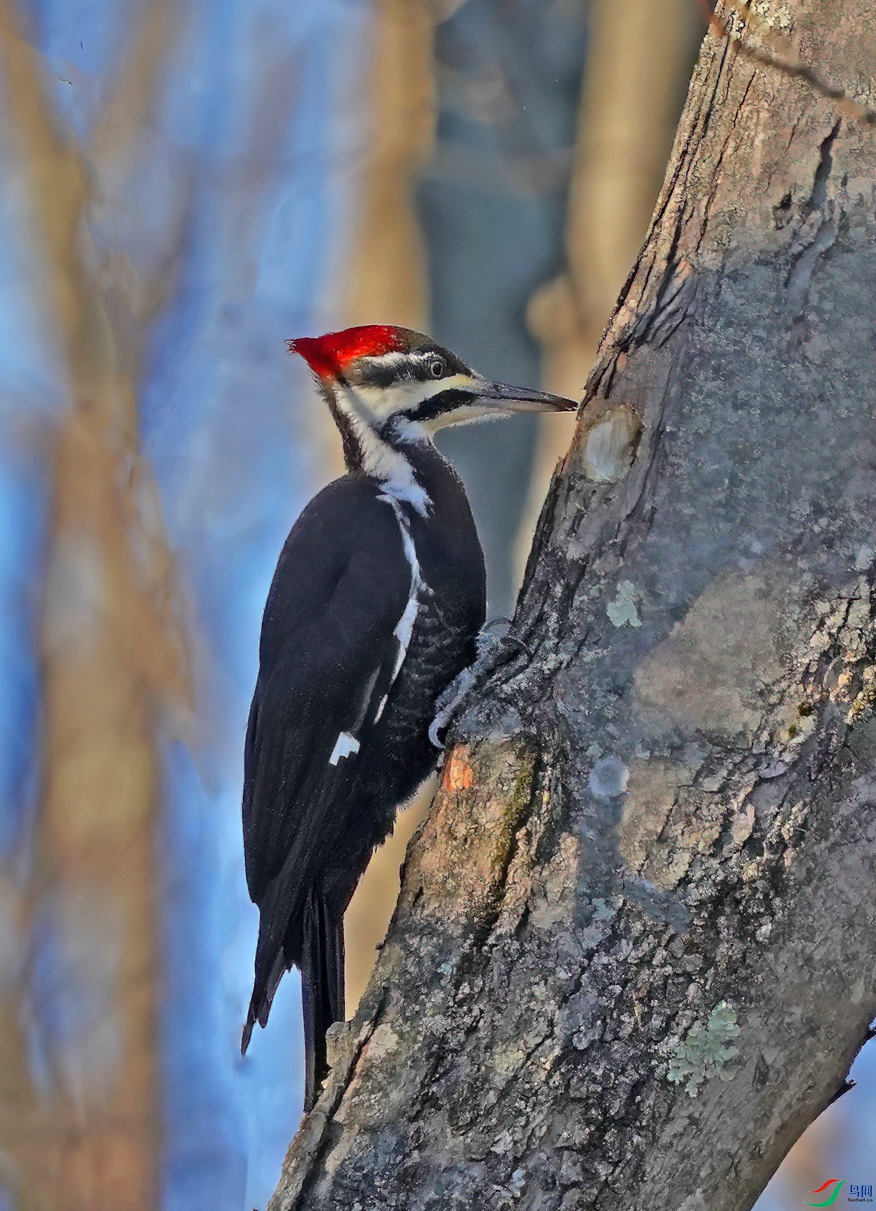 DSC00141--.jpg
