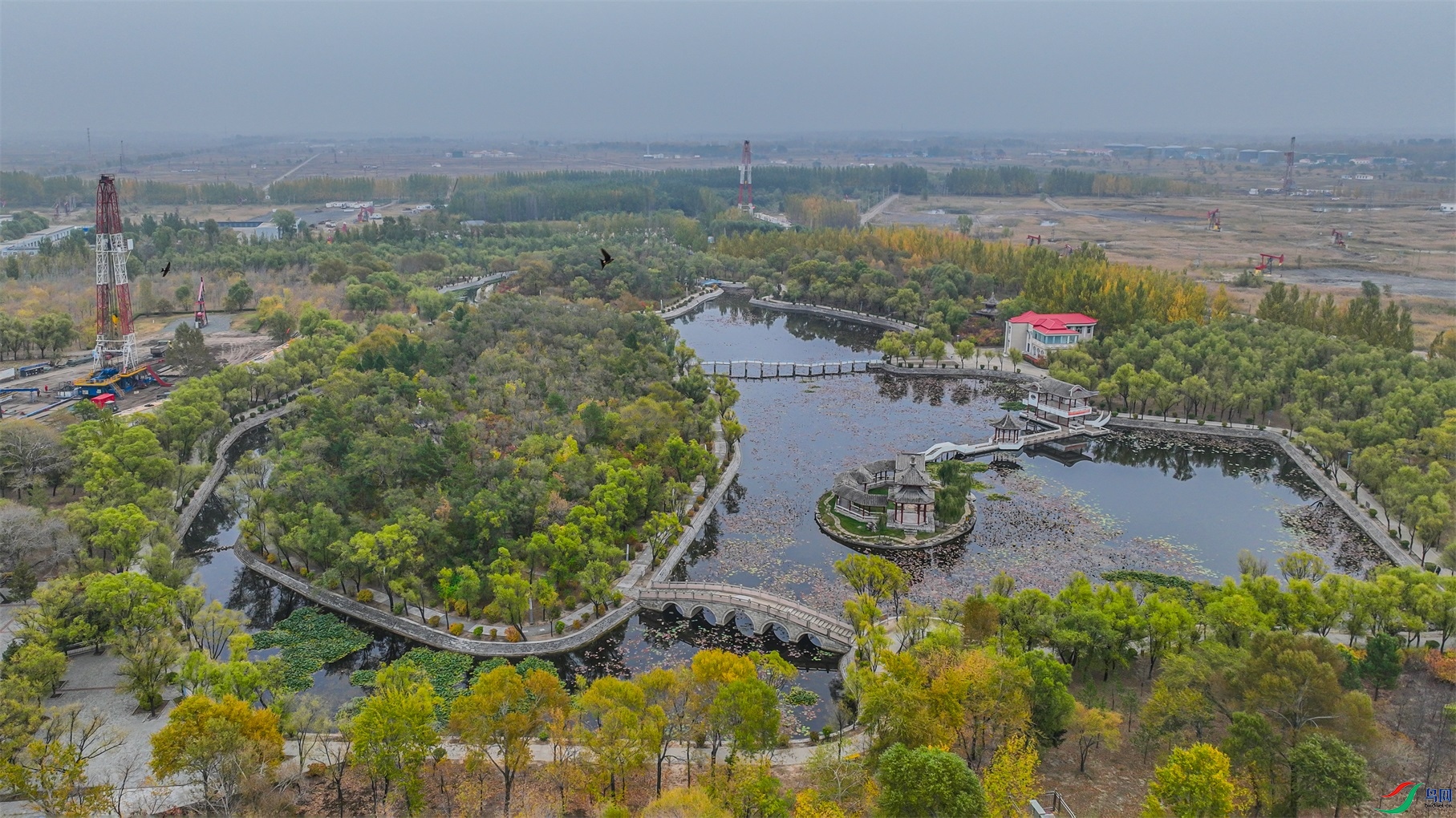 DJI_0689 ����1(1).jpg