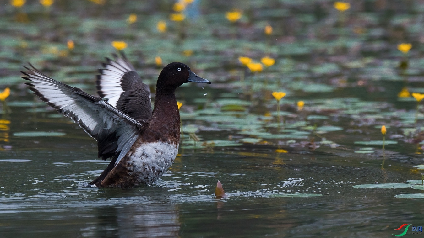 DSC_2057 - ����.jpg