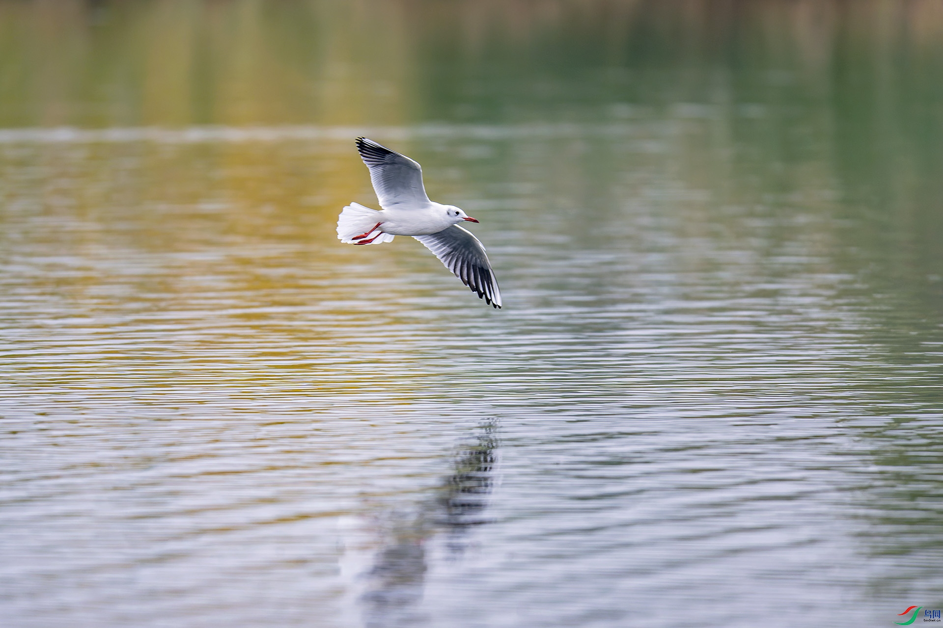 _DSC6073_DxO.jpg