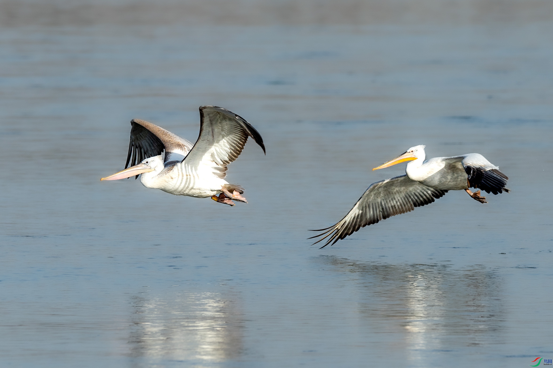 AAE_7820-2.jpg