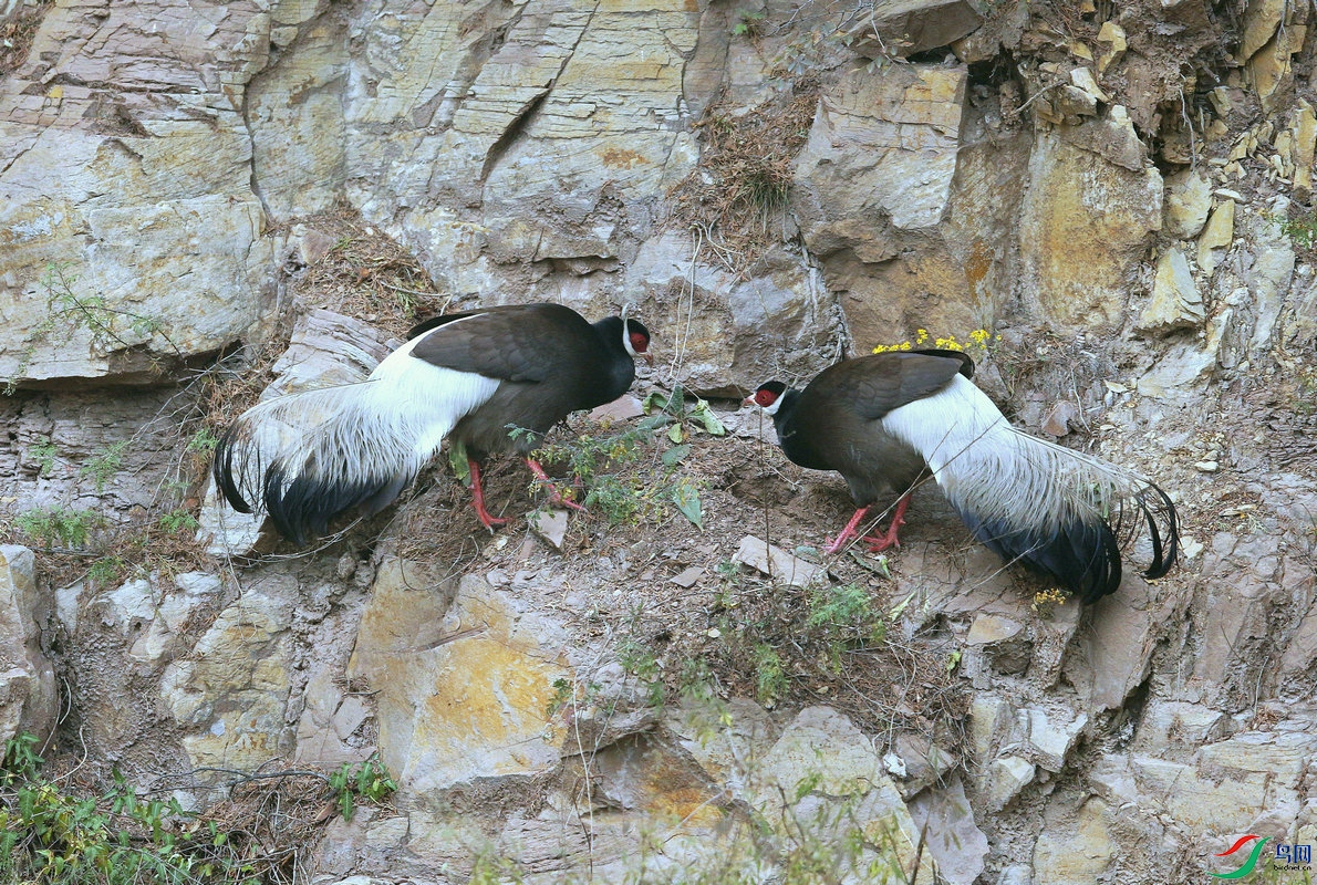 ������ 11_ ����.jpg