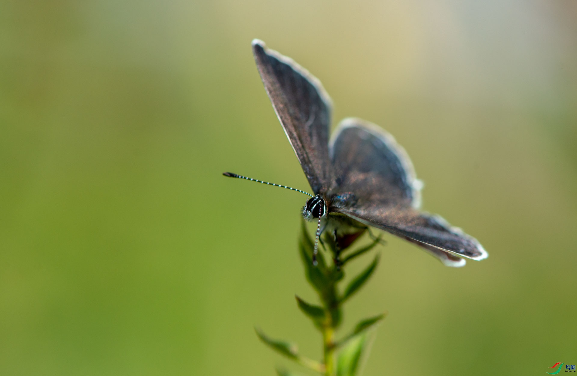 _DSC9367.jpg