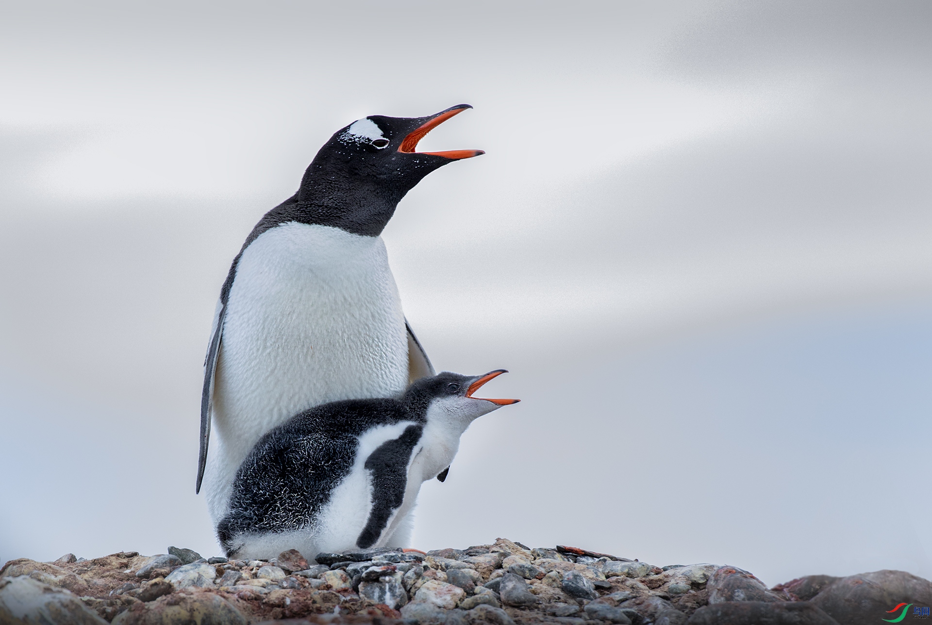 6F8A7277-W.jpg
