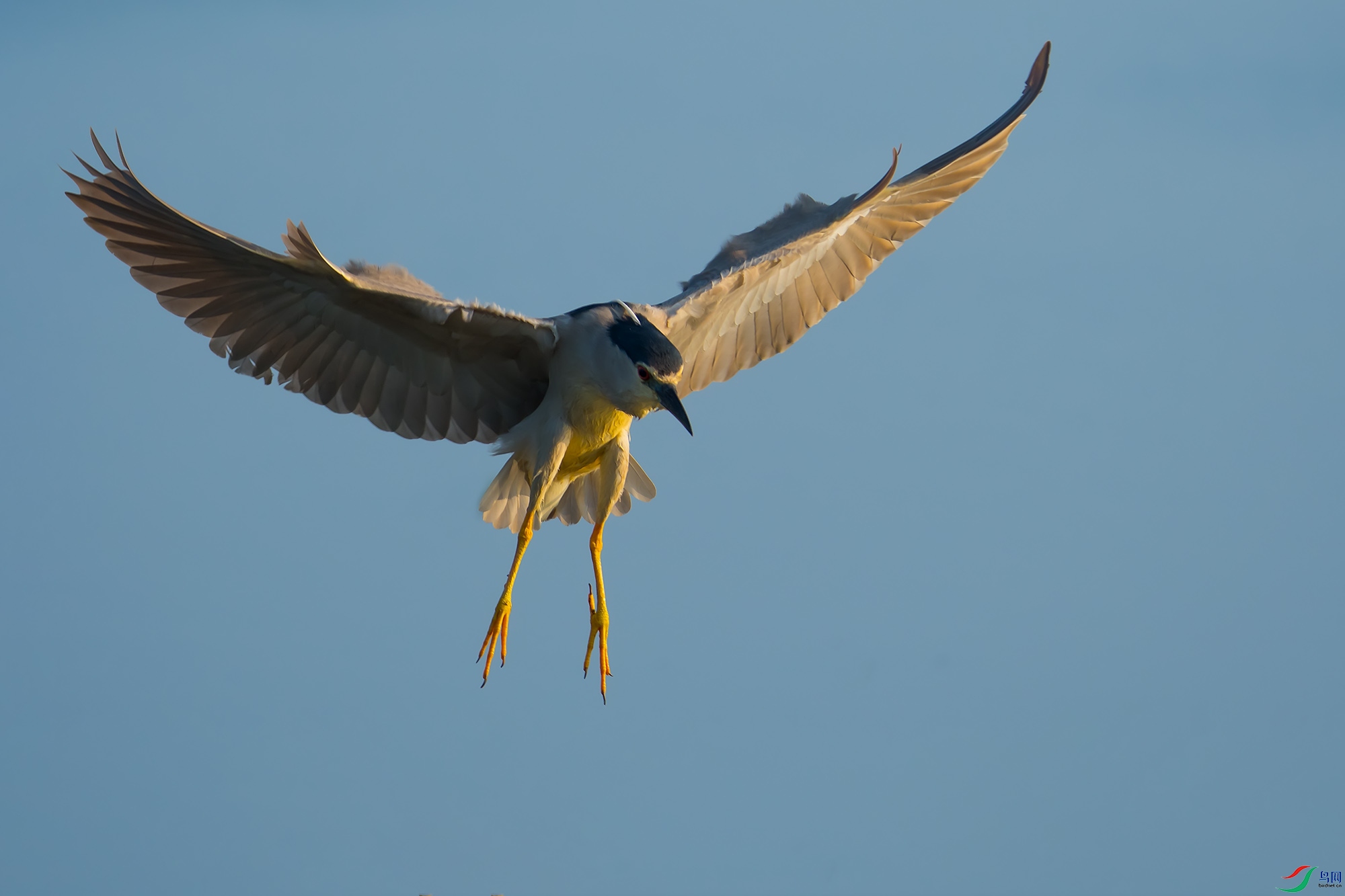 DSC_0758.jpg