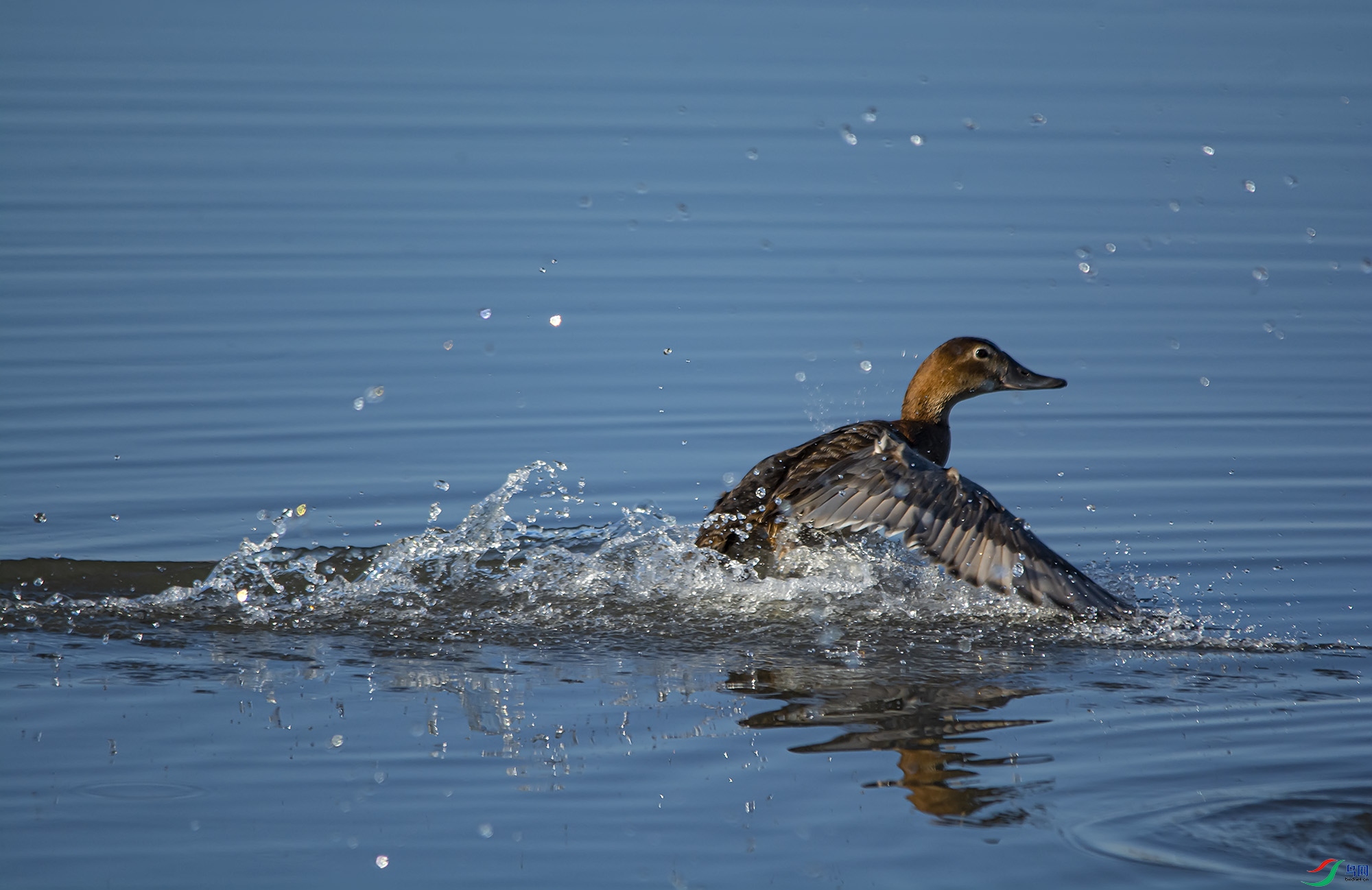 DSC_0791.jpg