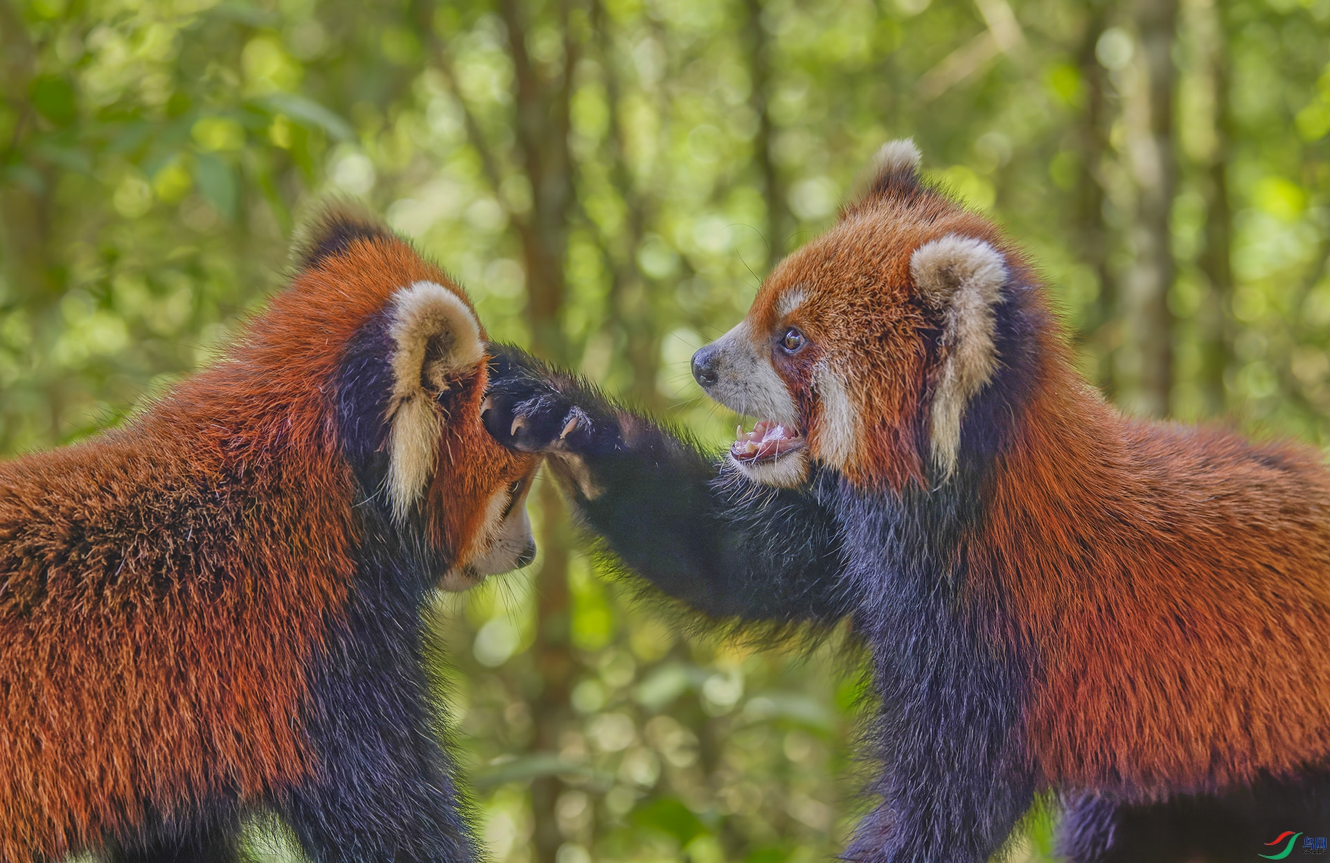 _WGB8121-NEF_DxO_DeepPRIME.jpg